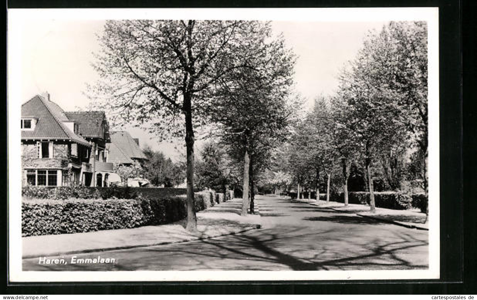 AK Haren, Emmalaan