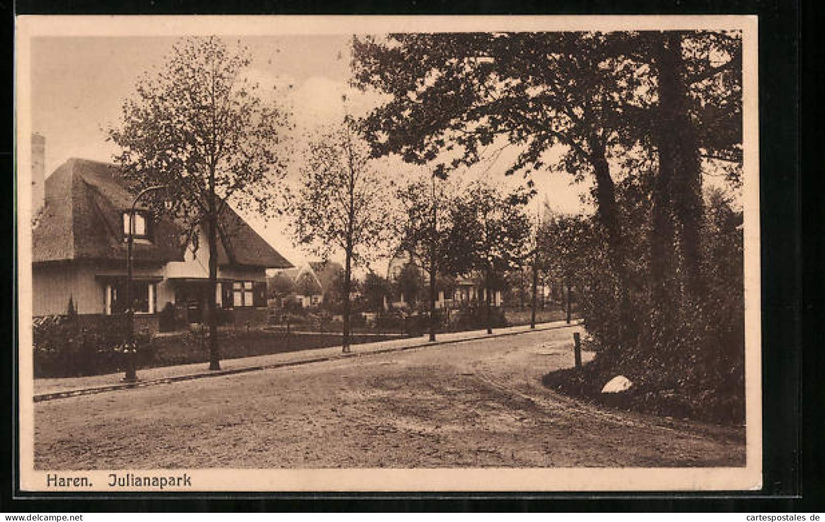 AK Haren, Julianapark