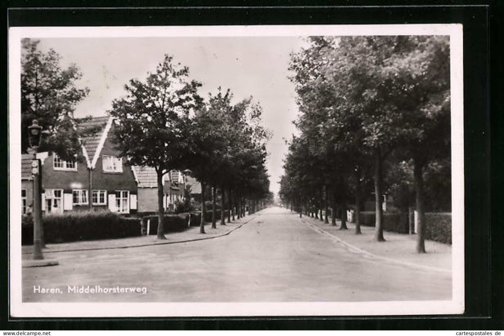 AK Haren, Middelhorsterweg