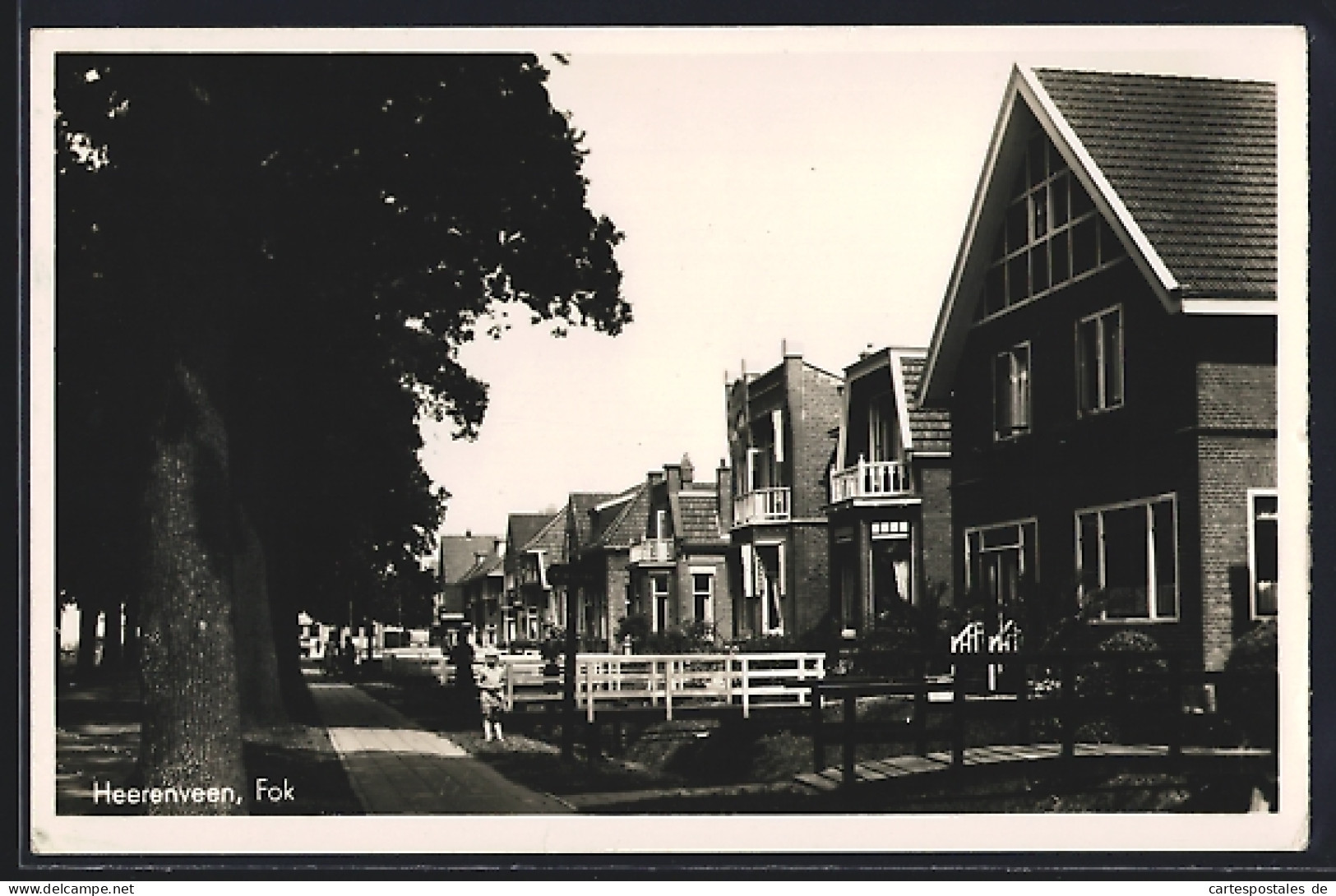AK Heerenveen, Fok