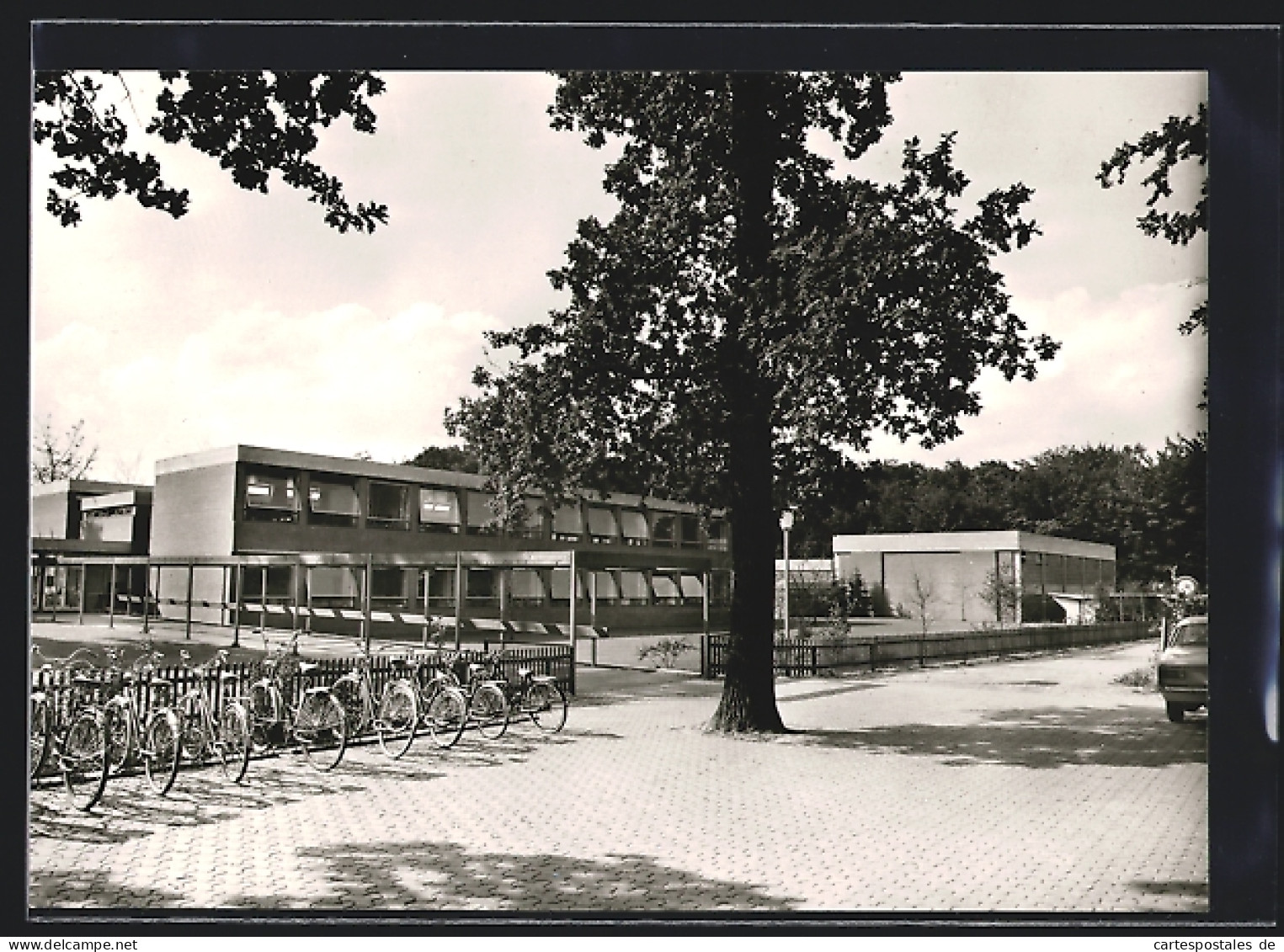 AK Heiligenrode / Stuhr, Strassenpartie mit Baum