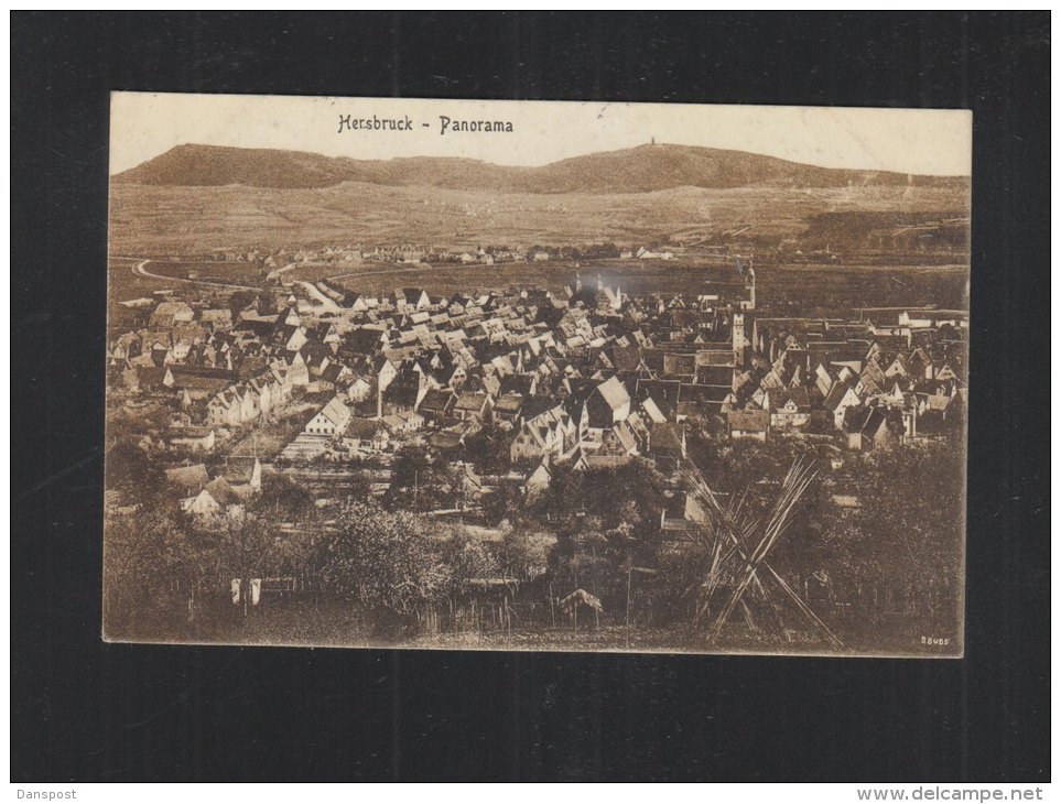 AK Hersbruck Panorama