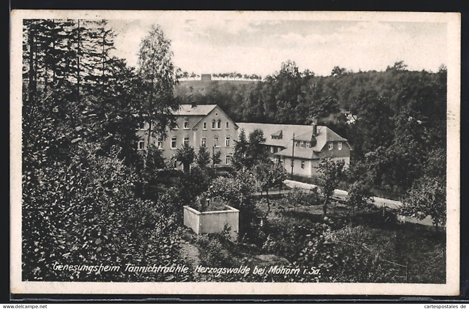 AK Herzogswalde bei Mohorn i. Sa., Genesungsheim Tännichtmühle