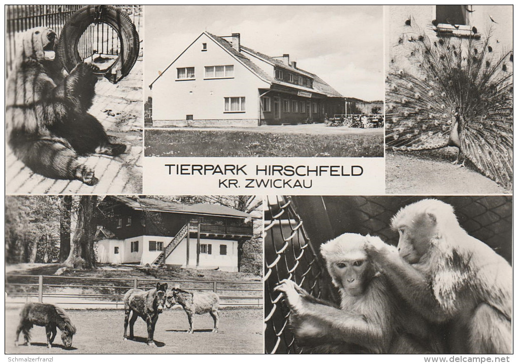AK Hirschfeld Tierpark Kreis Zwickau Konsum Gaststätte Bärenschenke bei Kirchberg Wilkau Voigtsgrün Ebersbrunn Stenn DDR