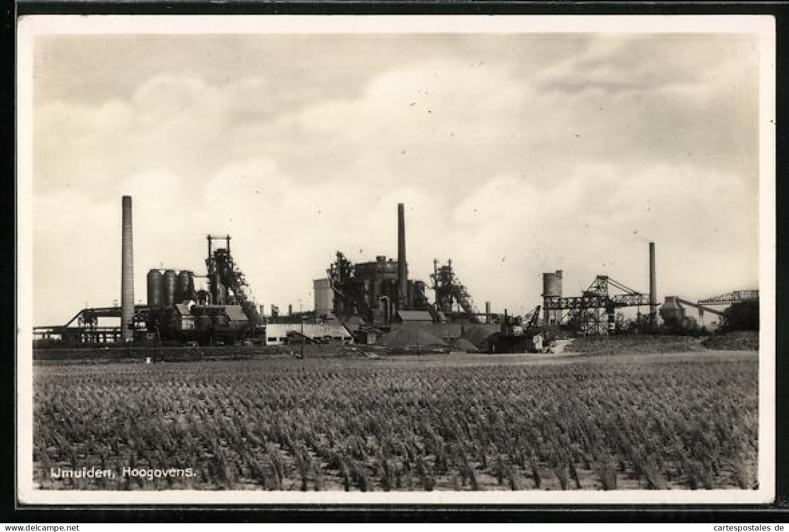 AK IJmuiden, Hoogovens