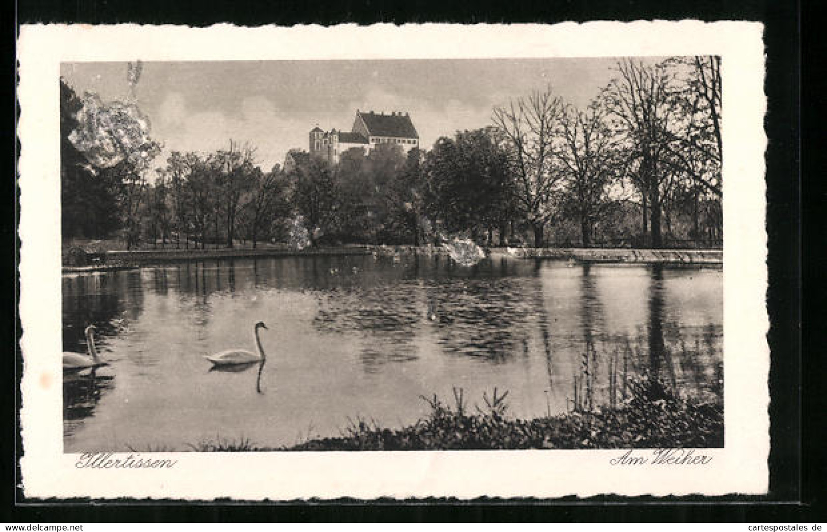 AK Illertissen, Am Weiher mit Schwänen