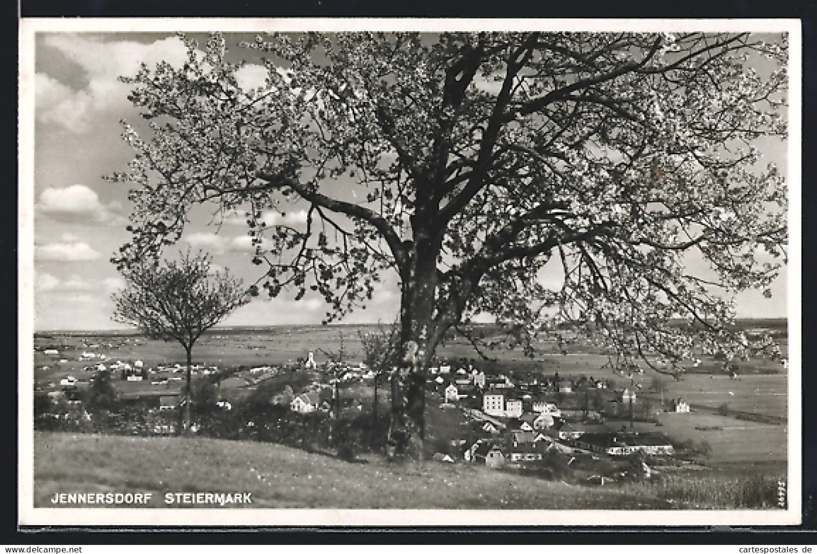 AK Jennersdorf, Fernblick zur Ortschaft