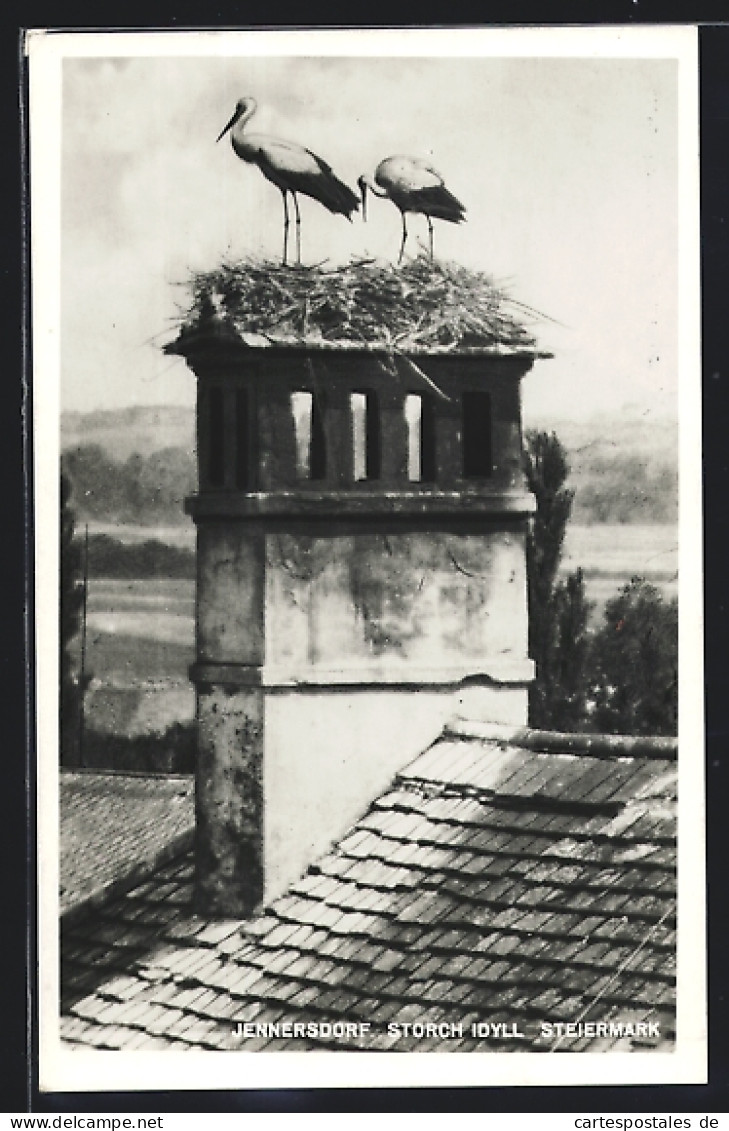 AK Jennersdorf, Storch Idyll, Nester auf Schornstein