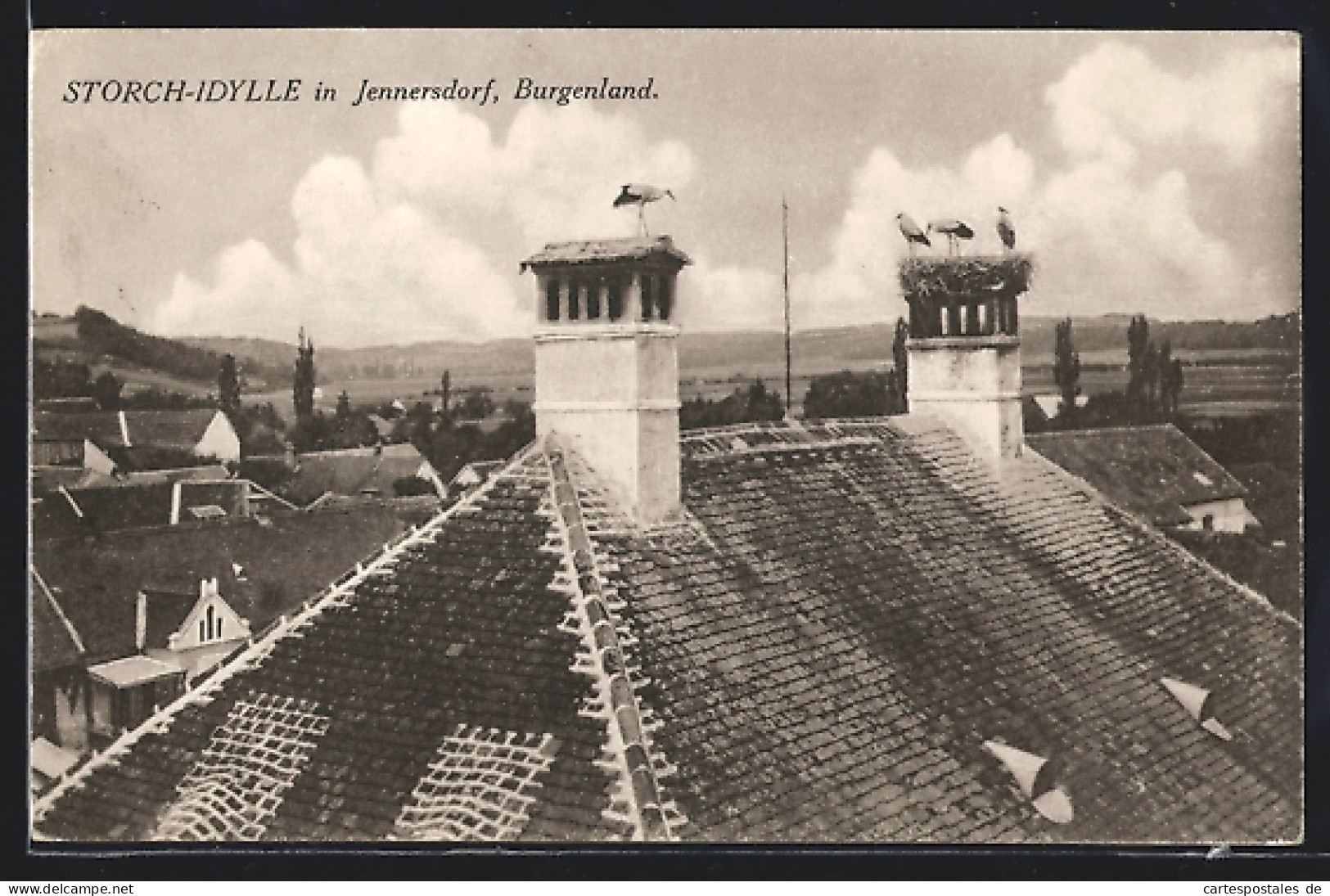 AK Jennersdorf, Storch-Idylle