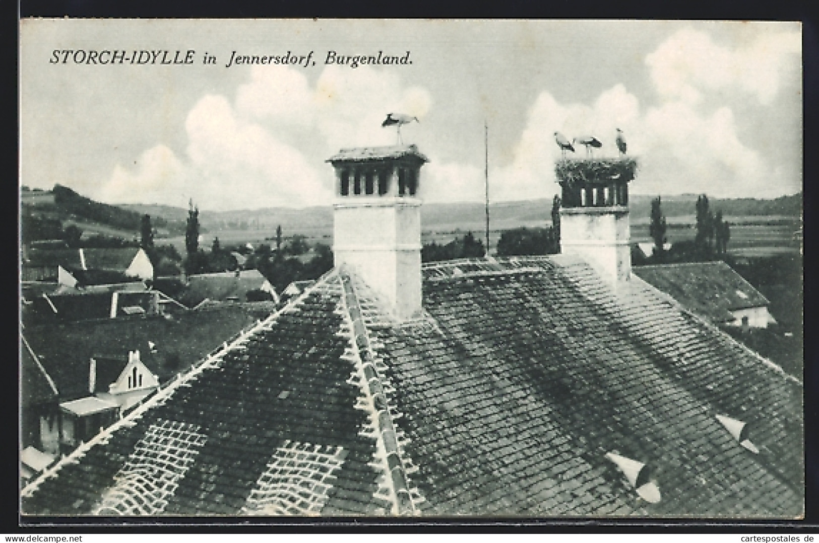 AK Jennersdorf, Storch-Idylle