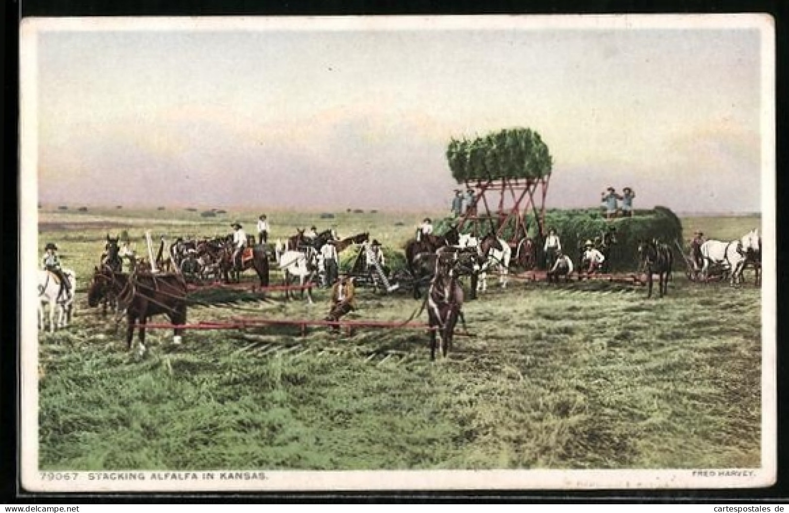 AK Kansas, KS, Stacking Alfalfa, Luzerne-Ernte