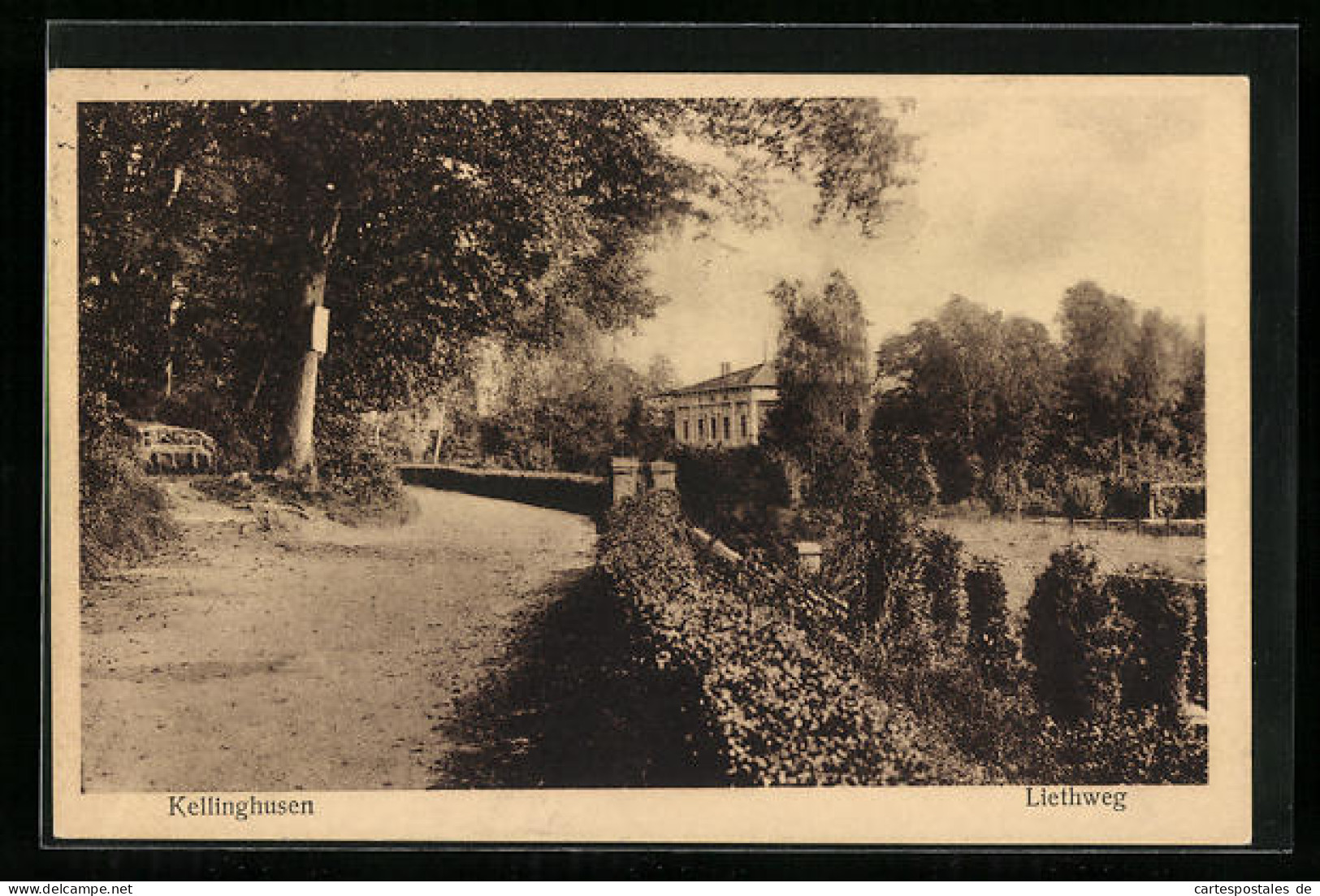 AK Kellinghusen, Liethweg