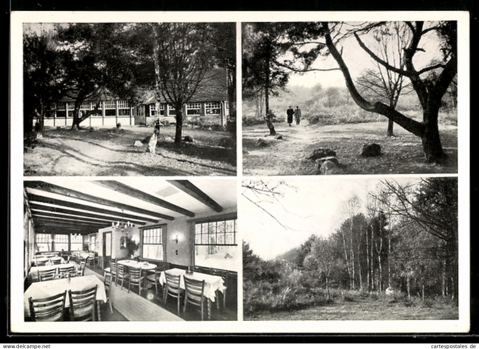 AK Klein-Eichen bei Königsforst, Café-Restaurant Heideblick, Inh. Carl Kretzer