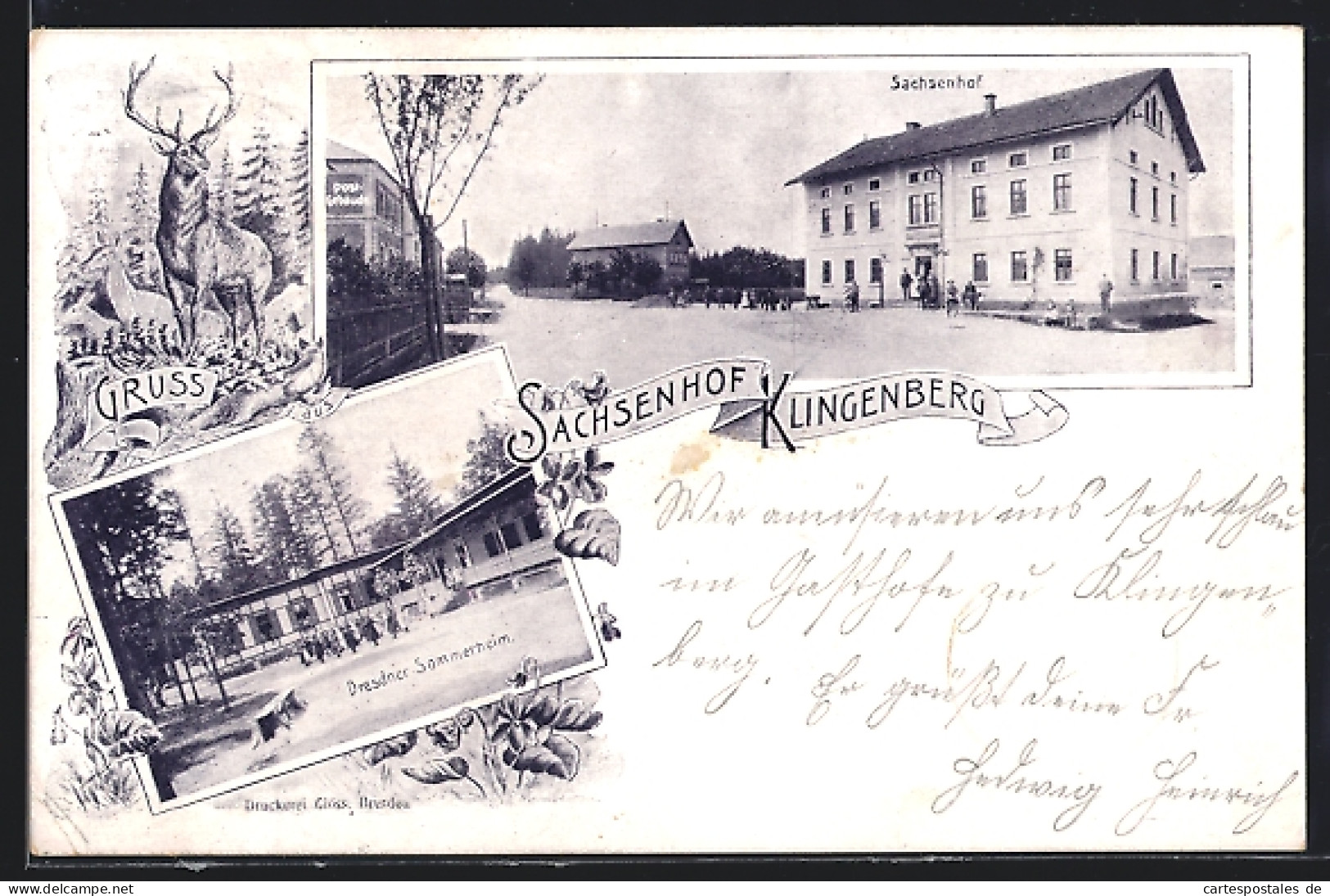 AK Klingenberg / Sachsen, Gasthaus Sachsenhof, Dresdner Sommerheim
