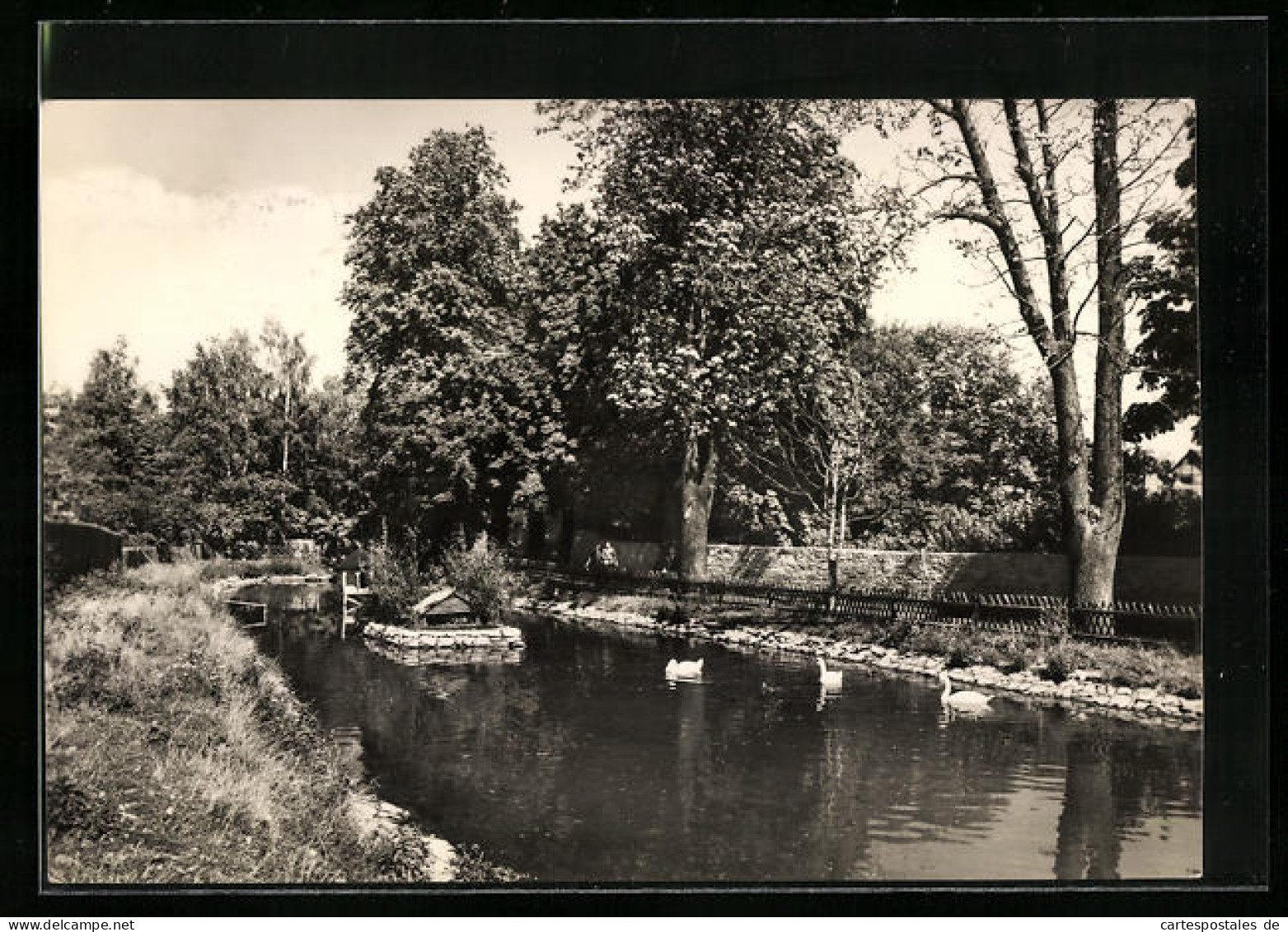 AK Kölleda b. Sömmerda, Partie am Schwanenteich