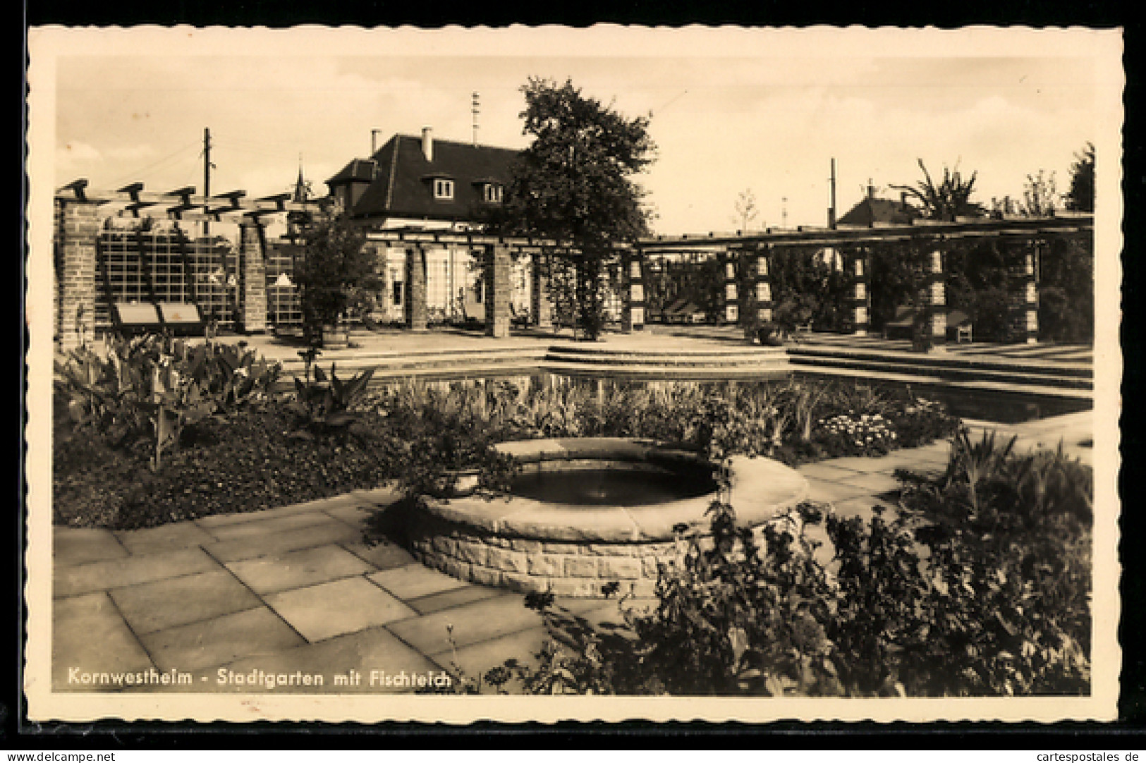 AK Kornwestheim, Stadtgarten mit Fischteich