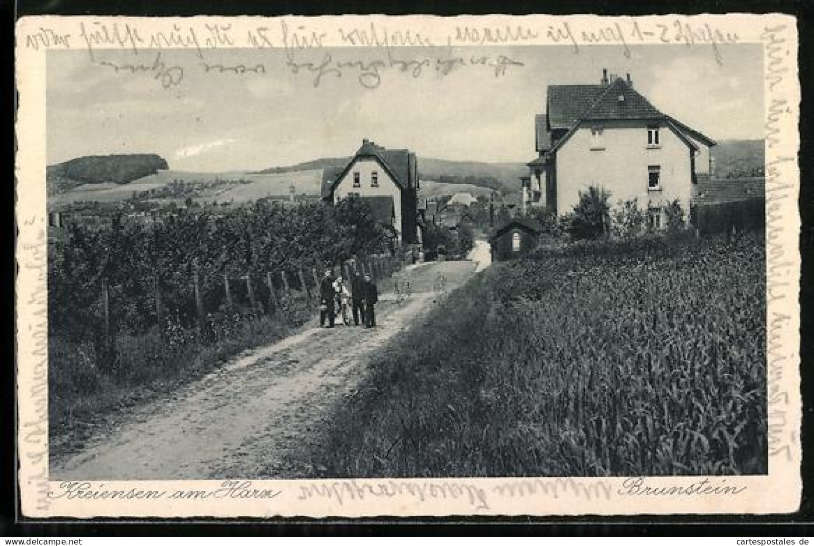 AK Kreiensen am Harz, Brunstein mit Landstrasse