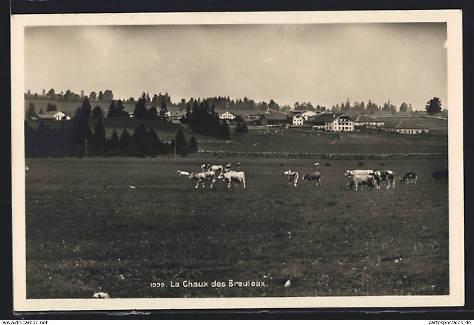 AK La Chaux des Breuleux, Vue panoramique