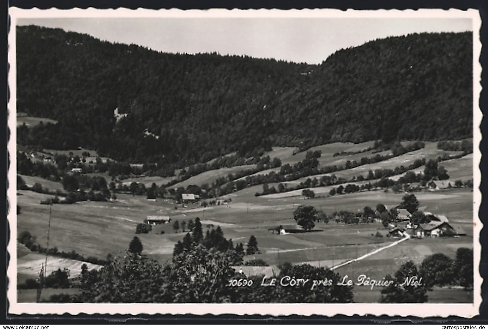 AK Le Pâquier /NE, Le Côty près Le Pâquier, Vue Générale