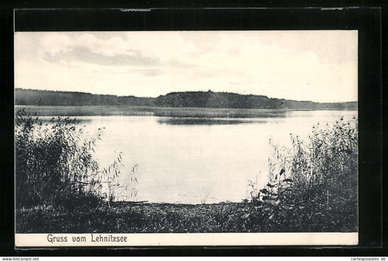 AK Lehnitz, Lehnitzsee, Partie am Seeufer