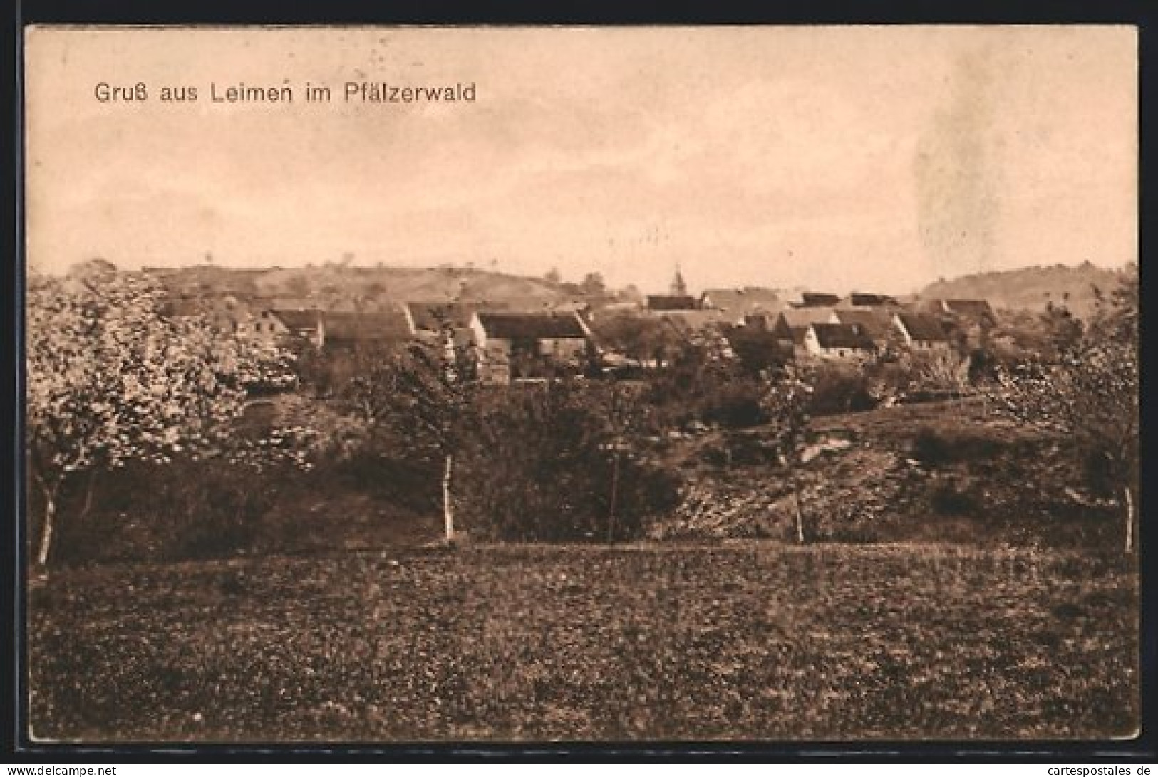 AK Leimen / Pfälzerwald, Gesamtansicht