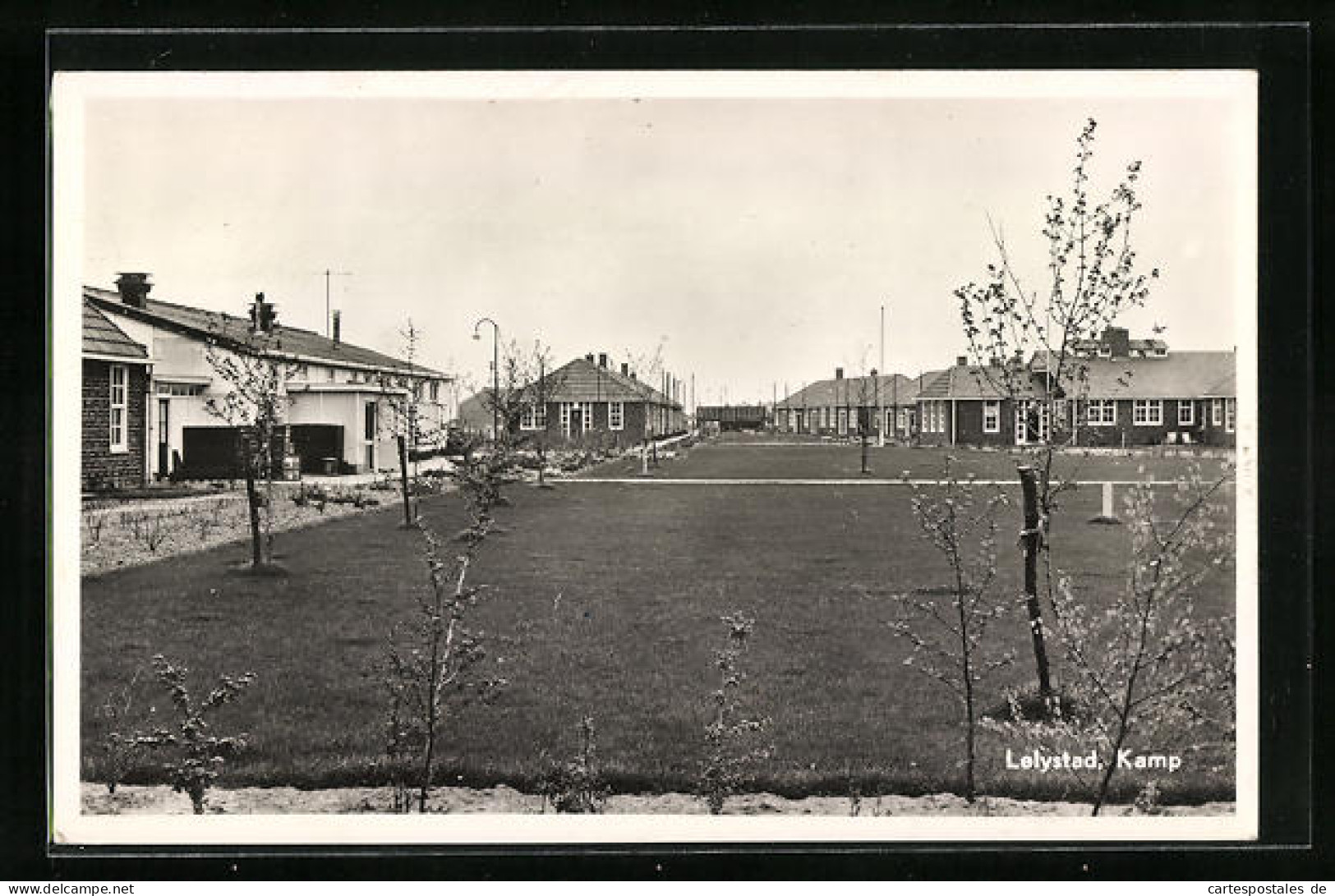 AK Lelystad, Kamp mit Wiese