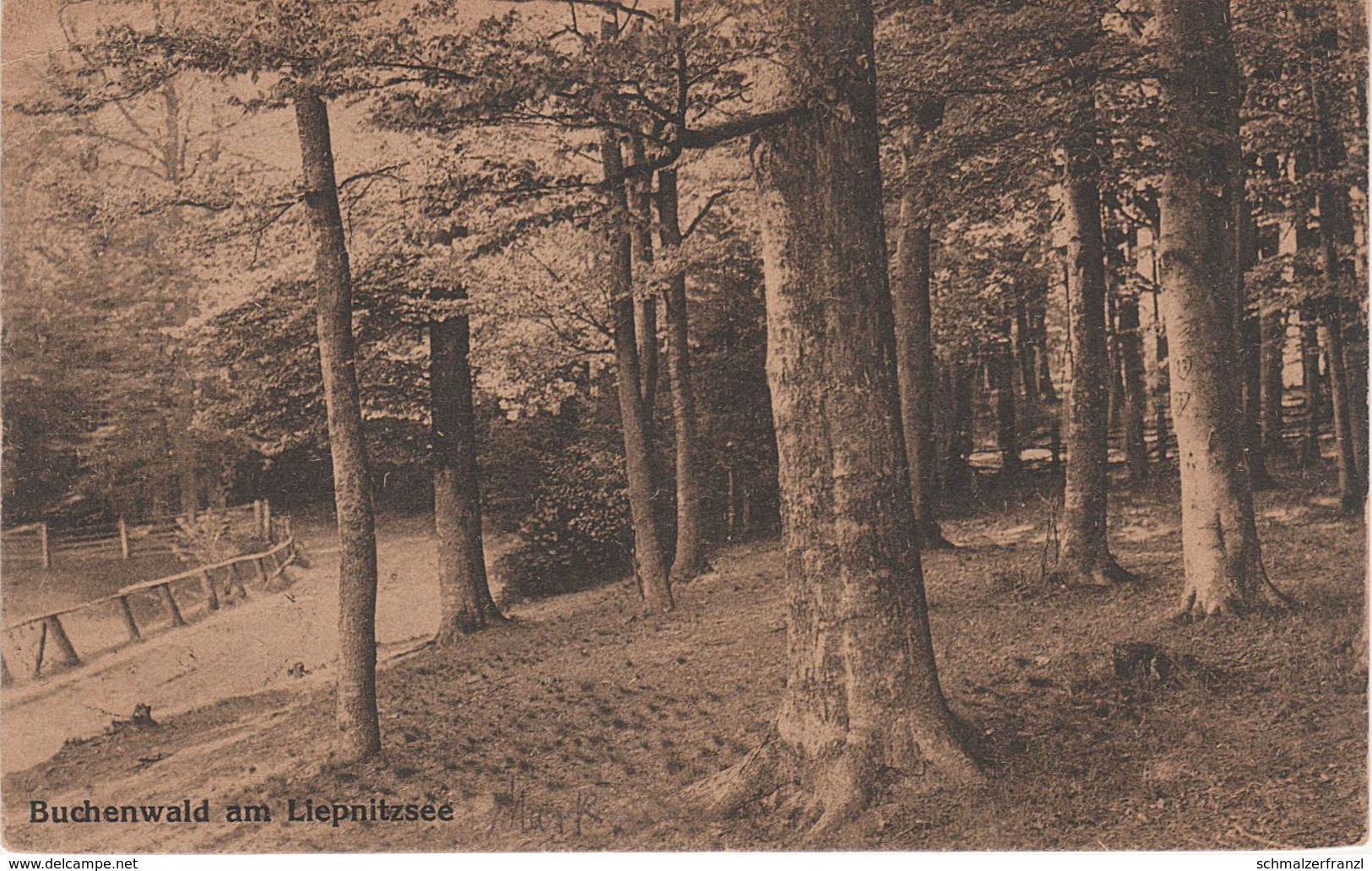 AK Liepnitzsee Buchenwald a Bernau Wandlitz Lanke Arendsee Klosterfelde Berlin Bahnpost Stempel Basdorf Groß Schönebeck