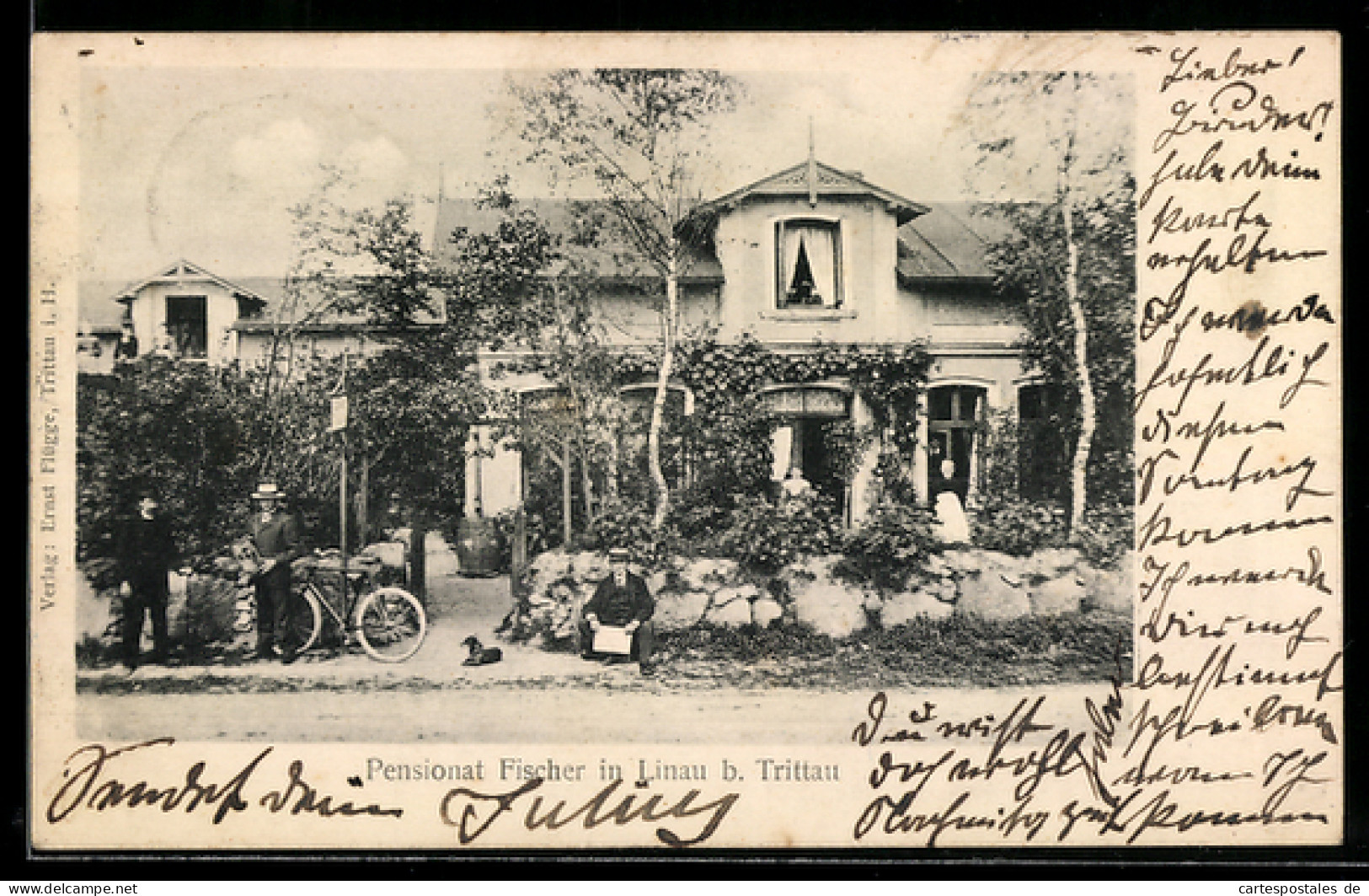 AK Linau /Trittau, Pensionat Fischer mit kleiner Versammlung im Garten