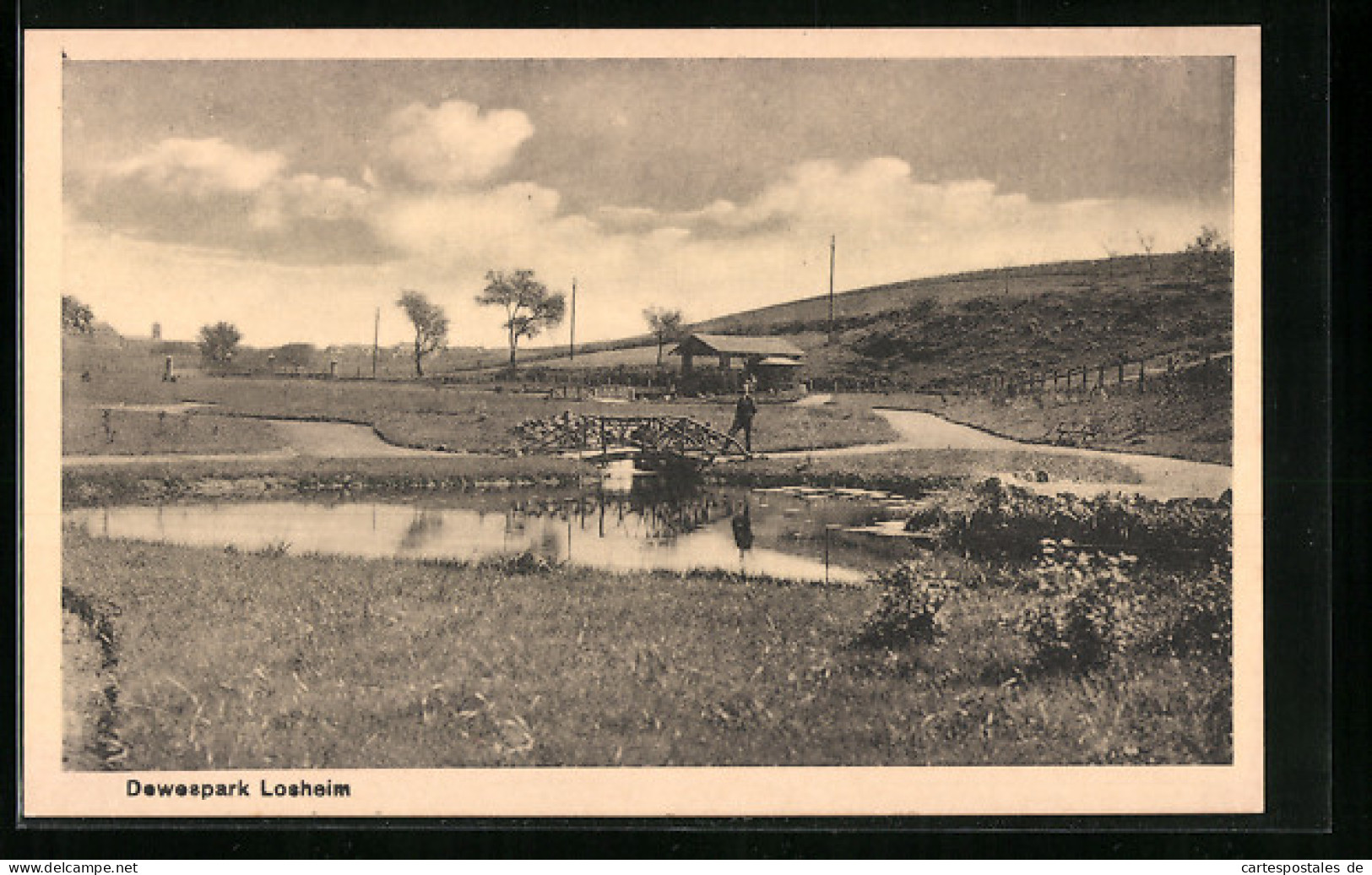 AK Losheim, Dewespark