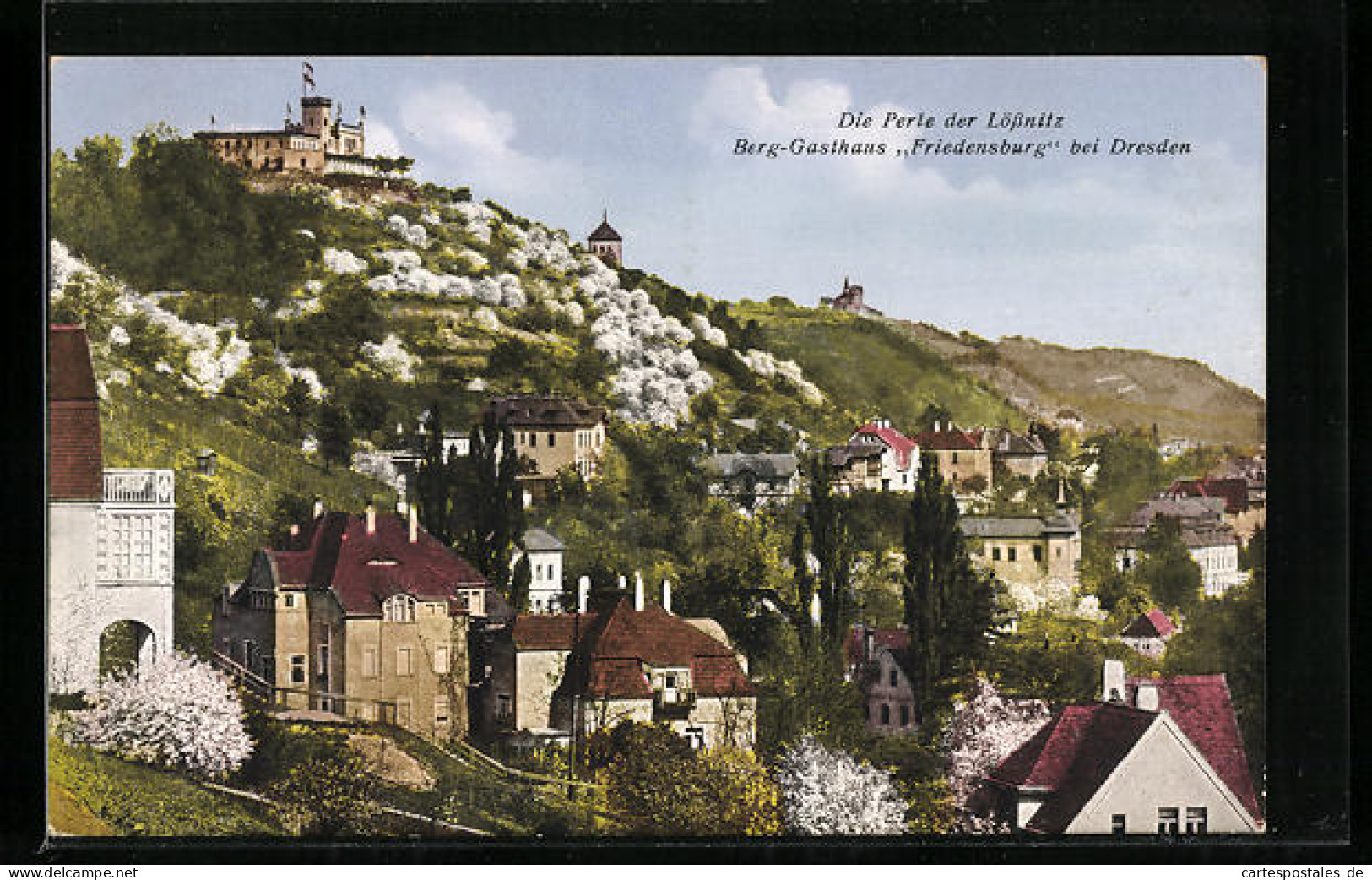 AK Lössnitz, Berg-Gasthaus Friedensburg
