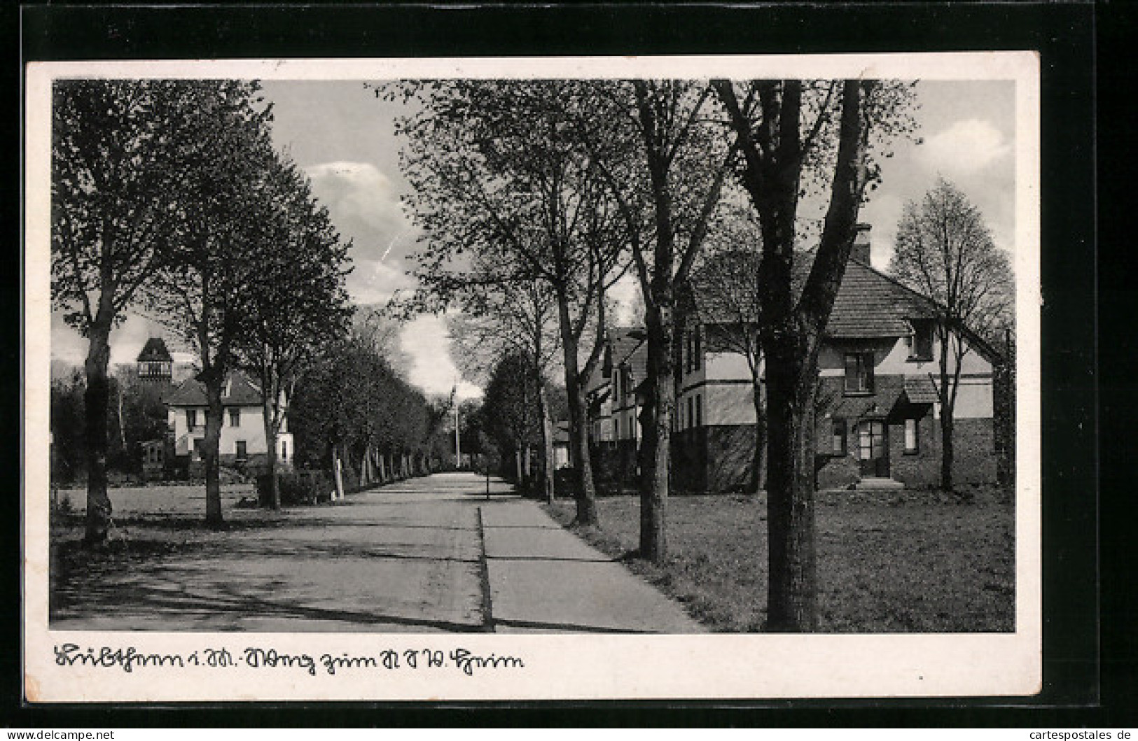 AK Lübtheen i. Meckl., Strassenpartie, NSV Heim