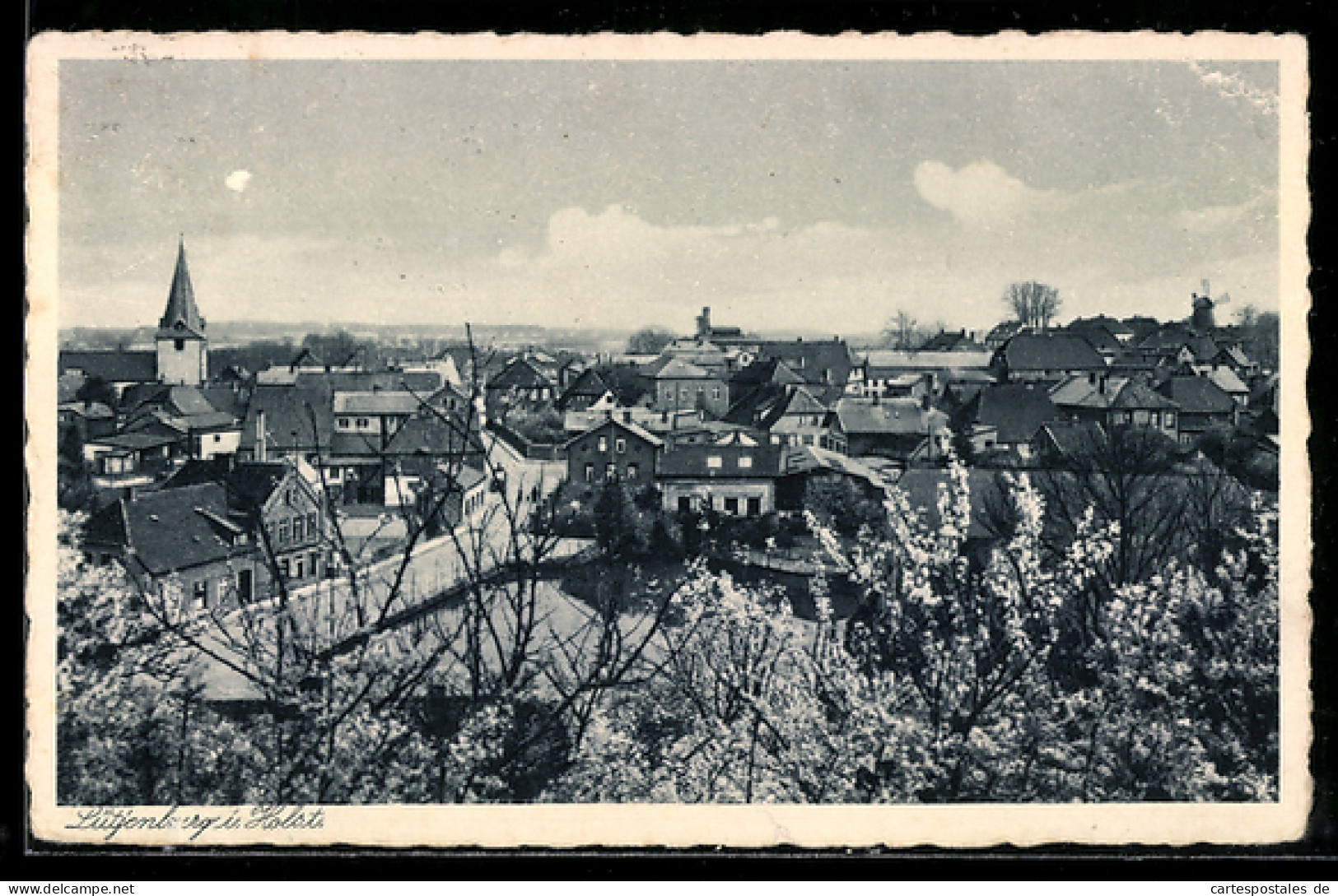 AK Lütjenburg /Holst., Ortsansicht mit Kirche und Wohnhäusern