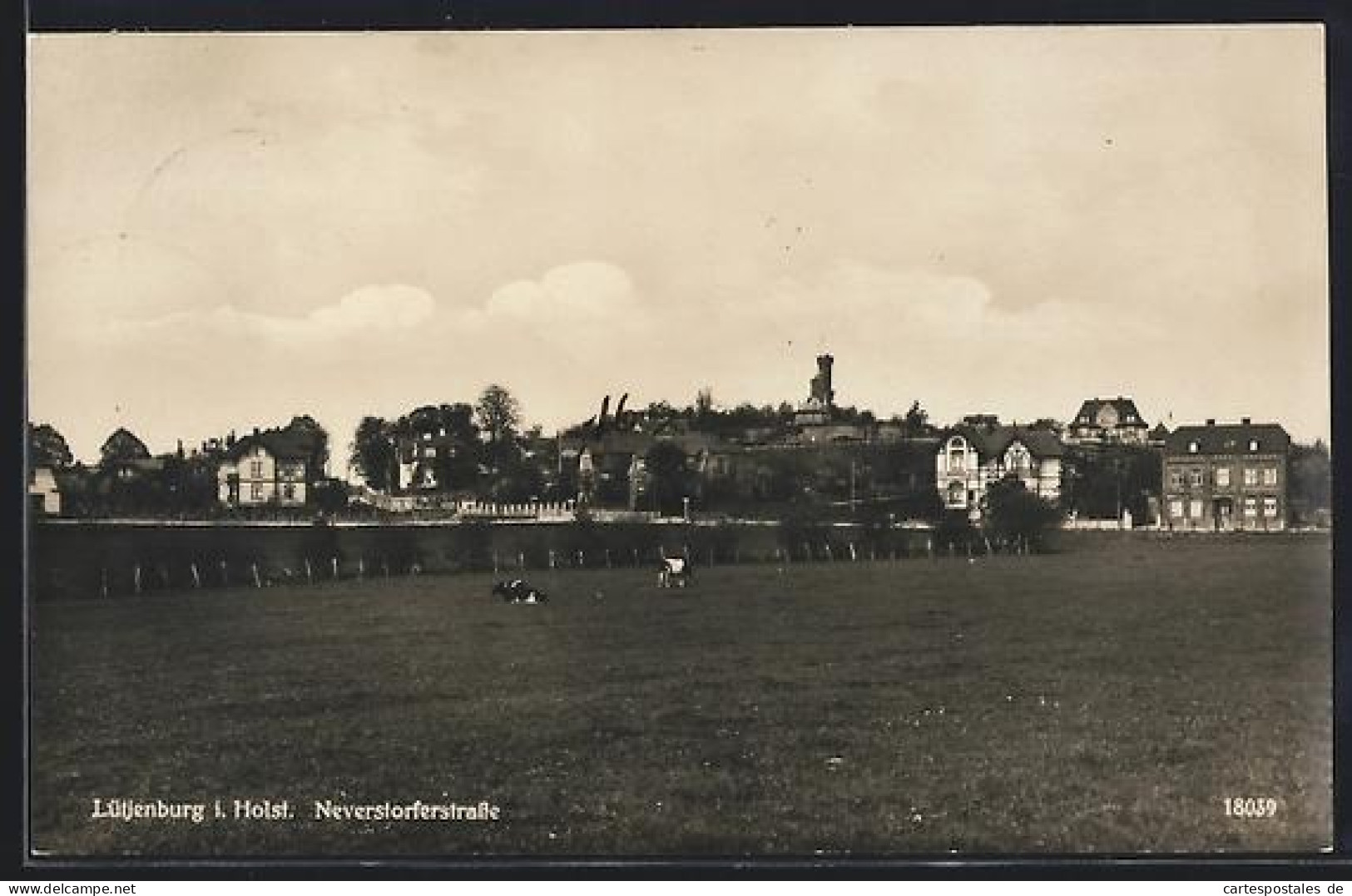 AK Lütjenburg i. Holst., Neverstorferstrasse