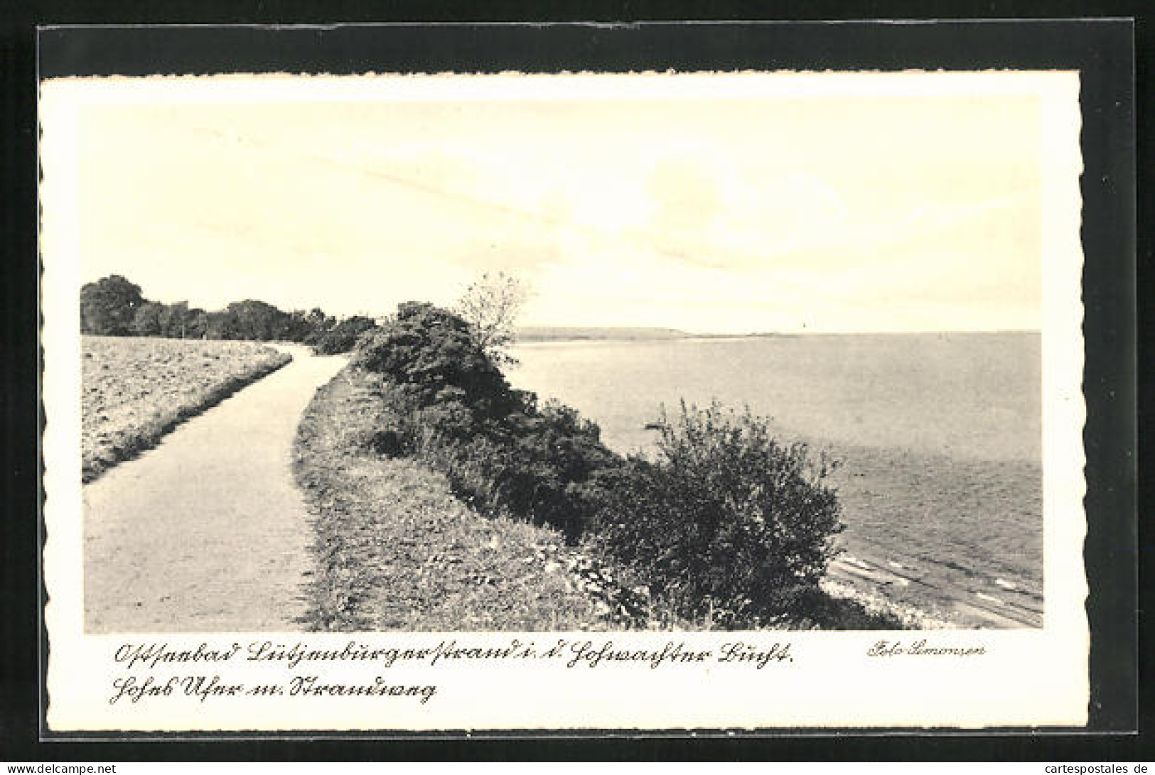 AK Lütjenburg / Ostsee, Uferweg an der Hohwachter Bucht