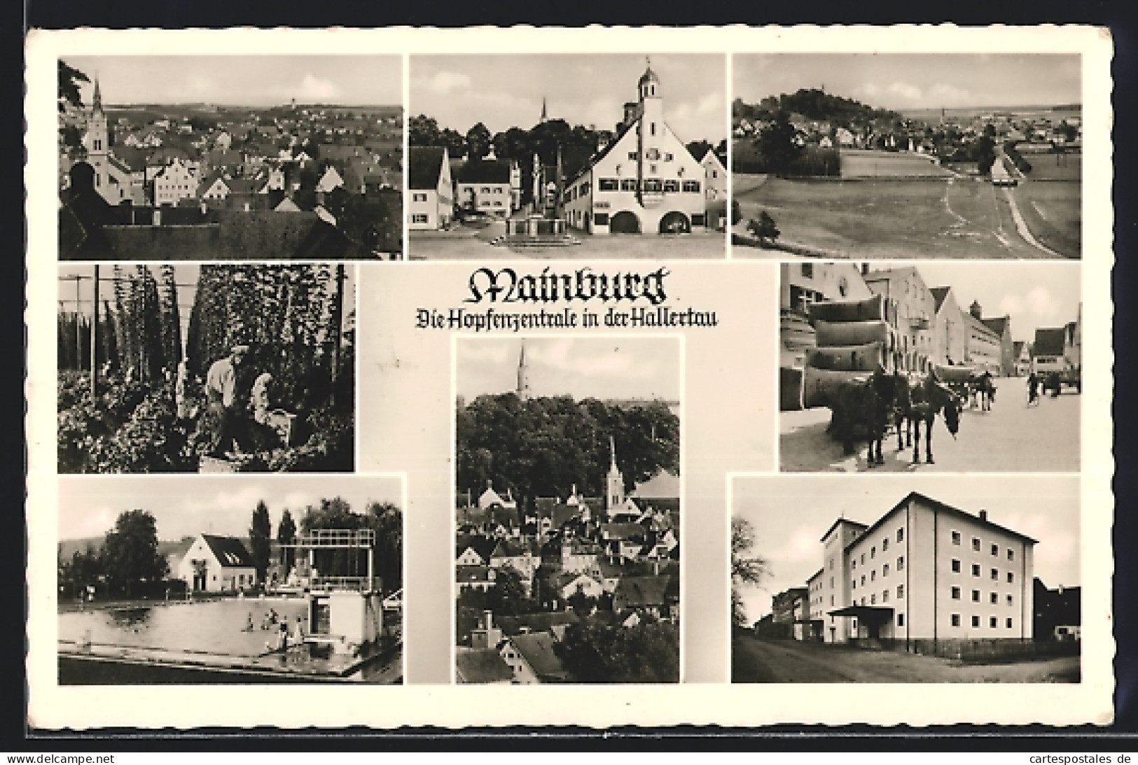 AK Mainburg, Ortspartien, Freibad, Pferdefuhrwerk