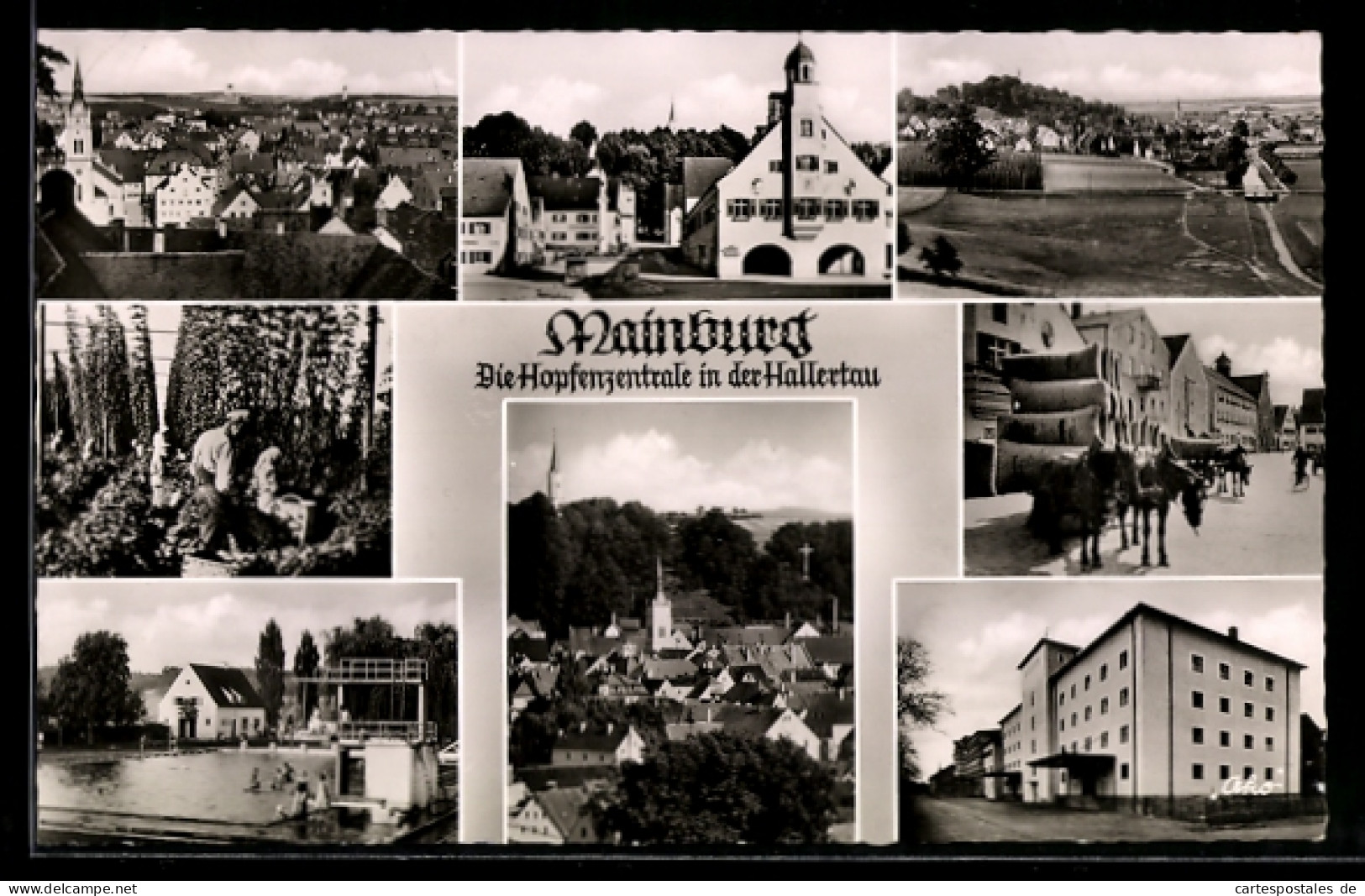 AK Mainburg, Schwimmbad, Hopfenernte, Ortsansicht