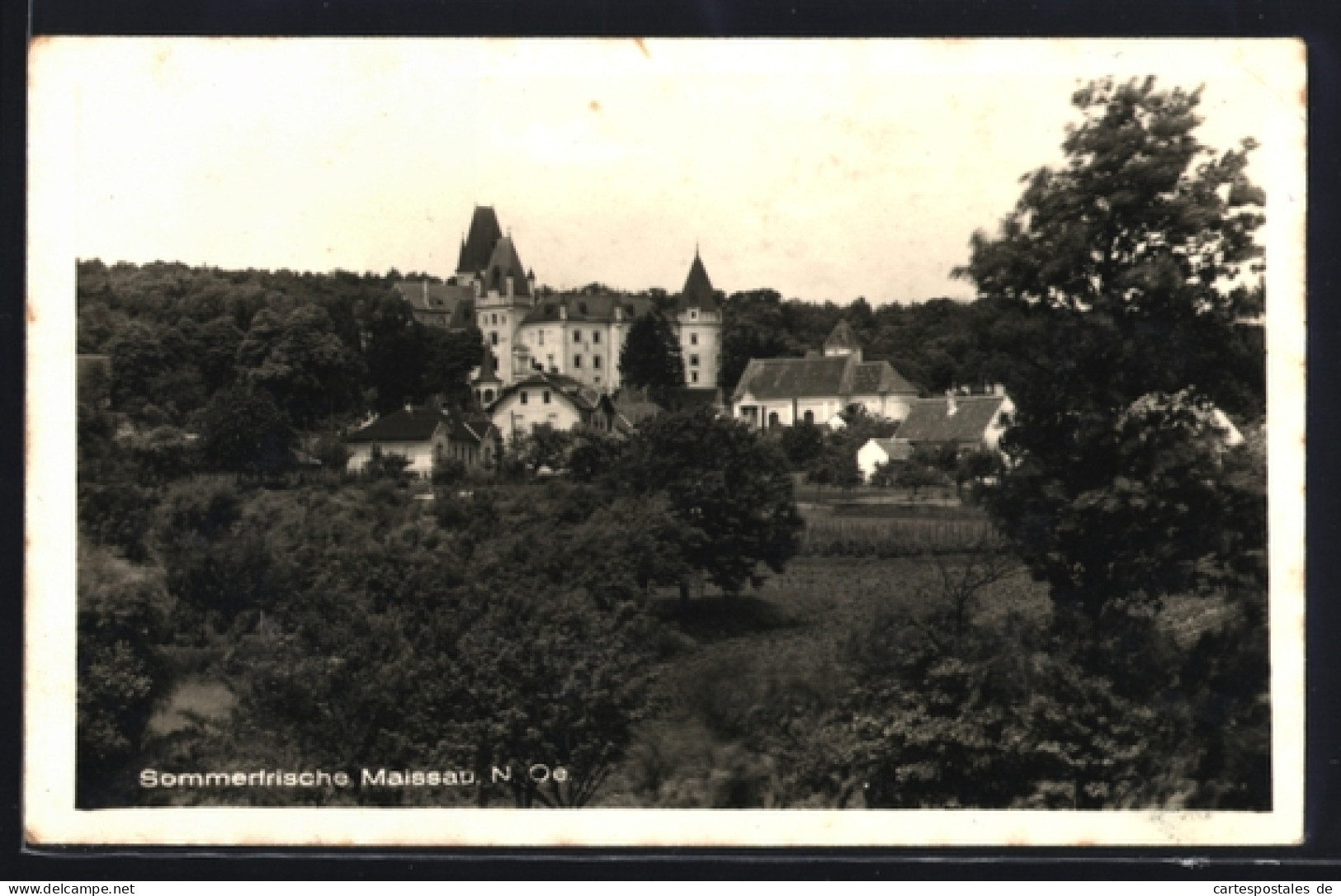AK Maissau /N.-Ö., Blick zum Schloss