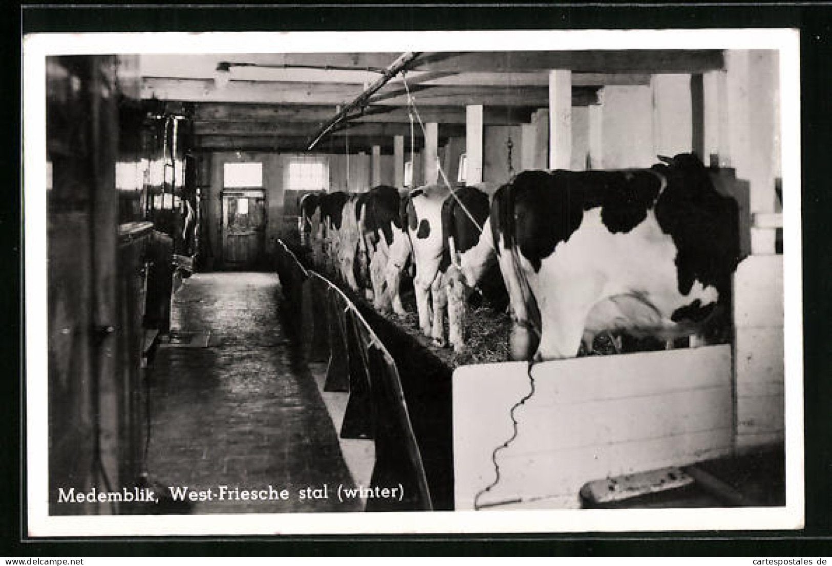 AK Medemblik, West-Friesche stal