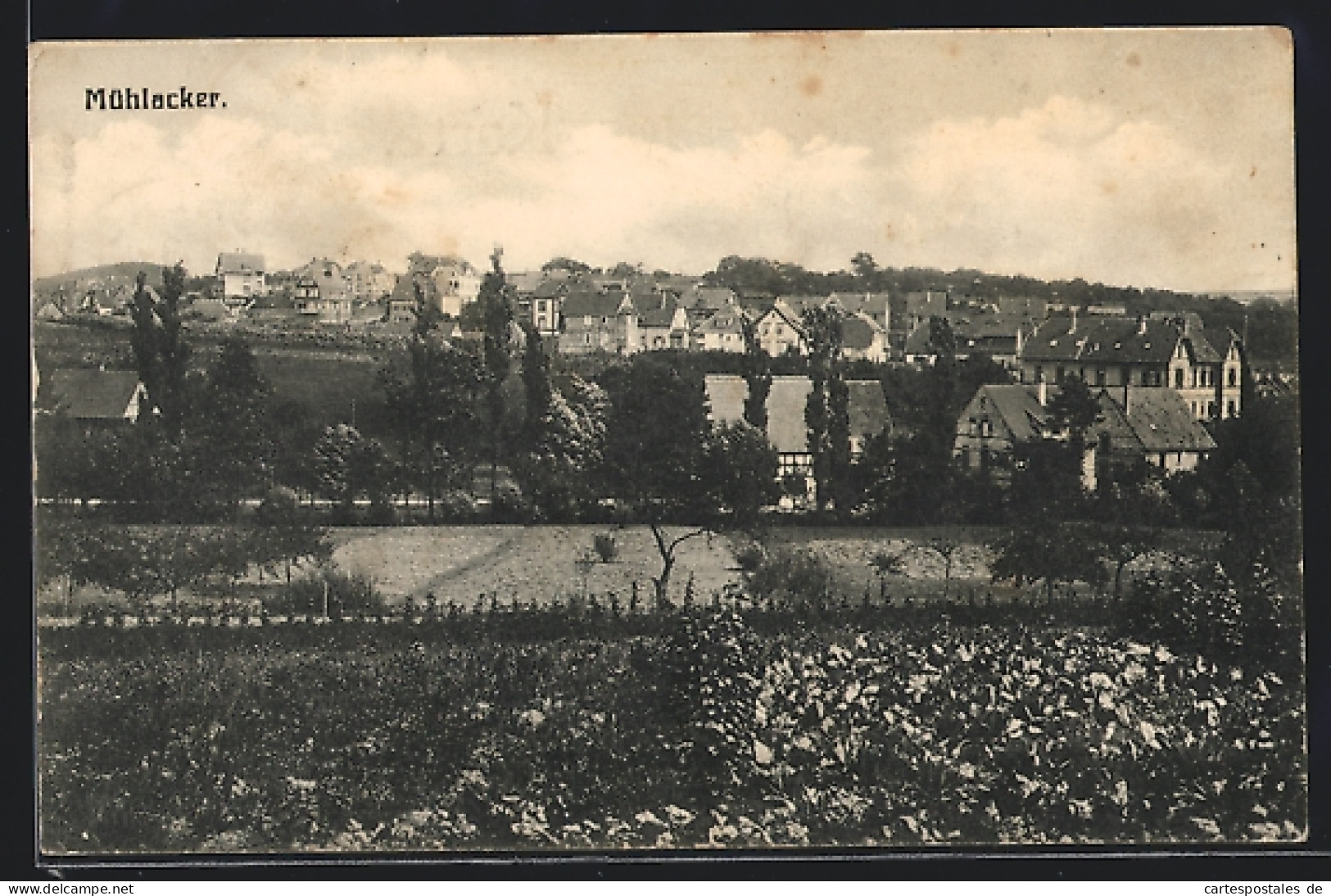 AK Mühlacker, Gesamtansicht