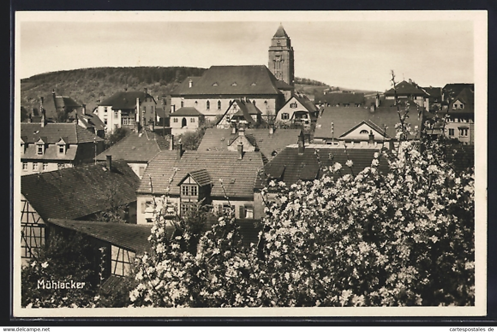 AK Mühlacker, Gesamtansicht