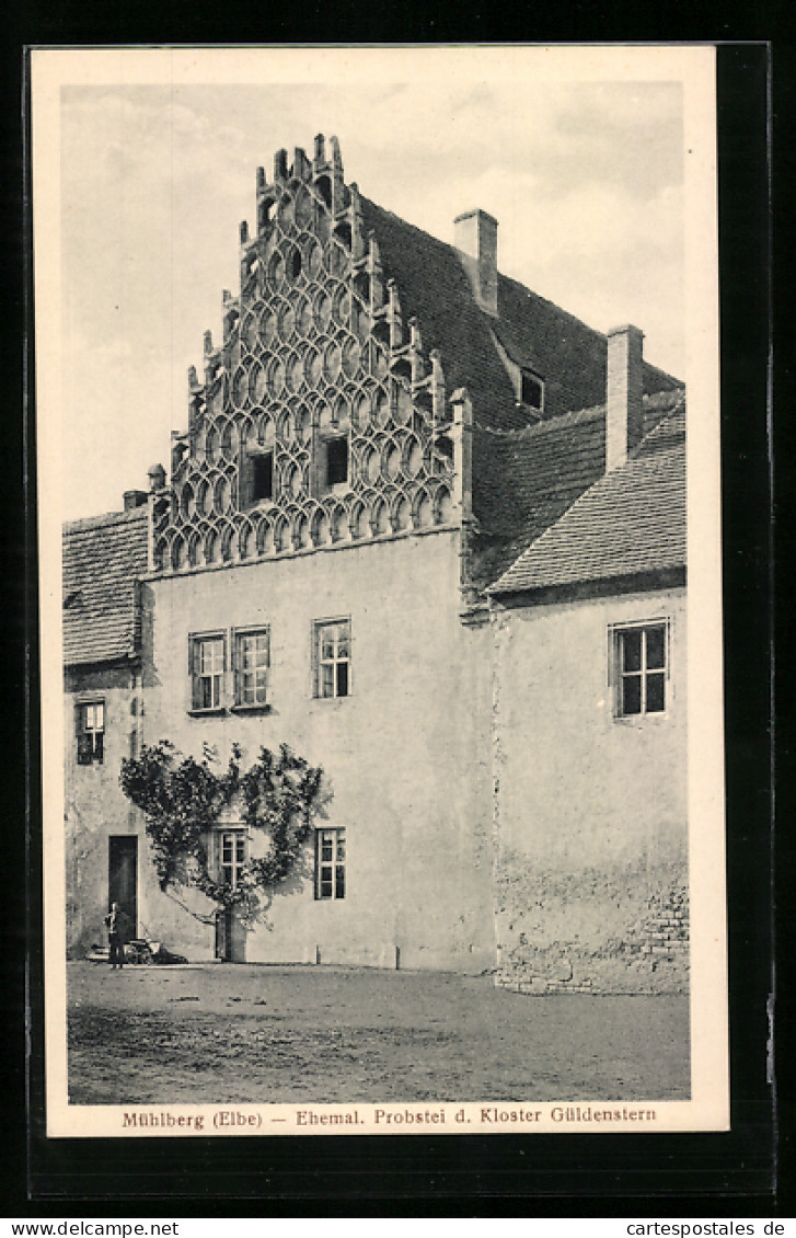 AK Mühlberg, Ehemalige Probstei des Kloster Güldenstern