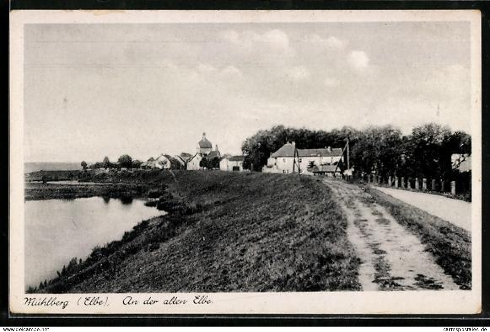 AK Mühlberg /Elbe, An der alten Elbe