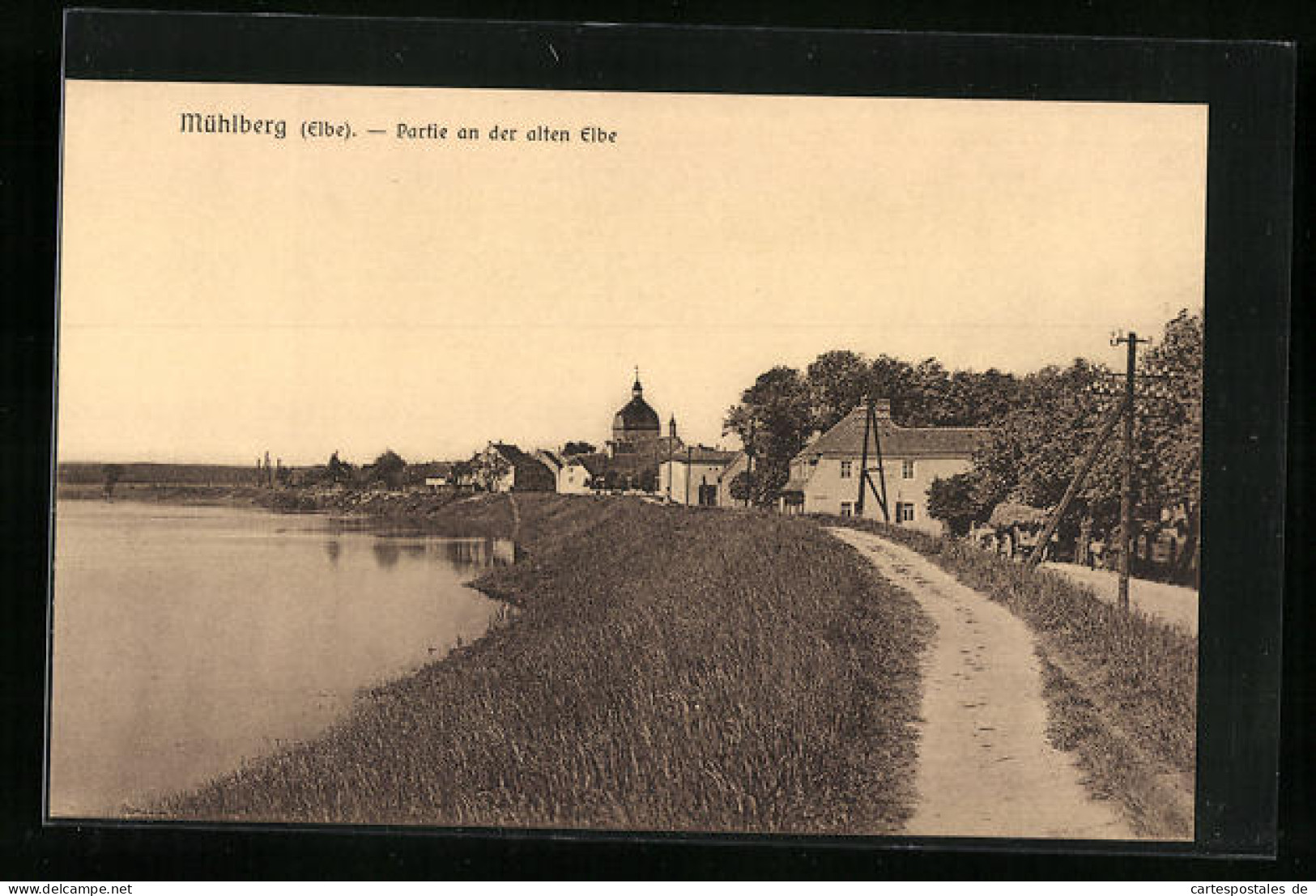 AK Mühlberg / Elbe, Partie an der alten Elbe