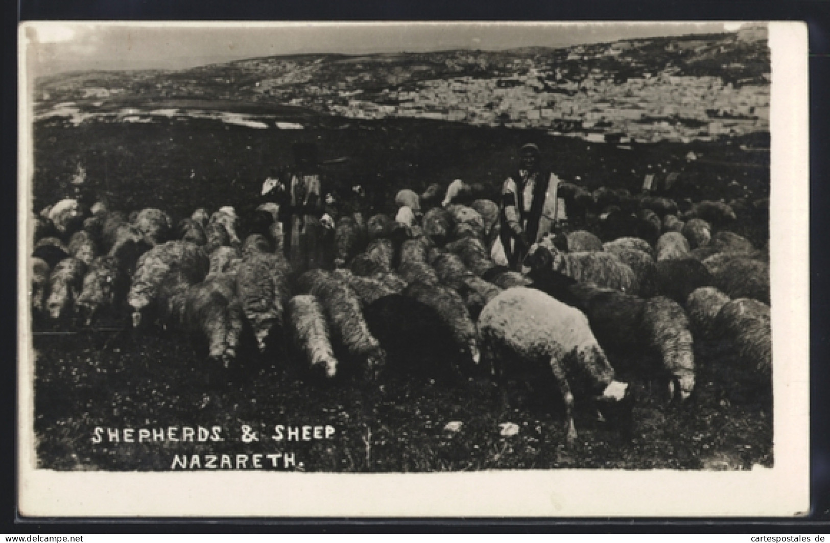 AK Nazareth, Shephers & Sheep