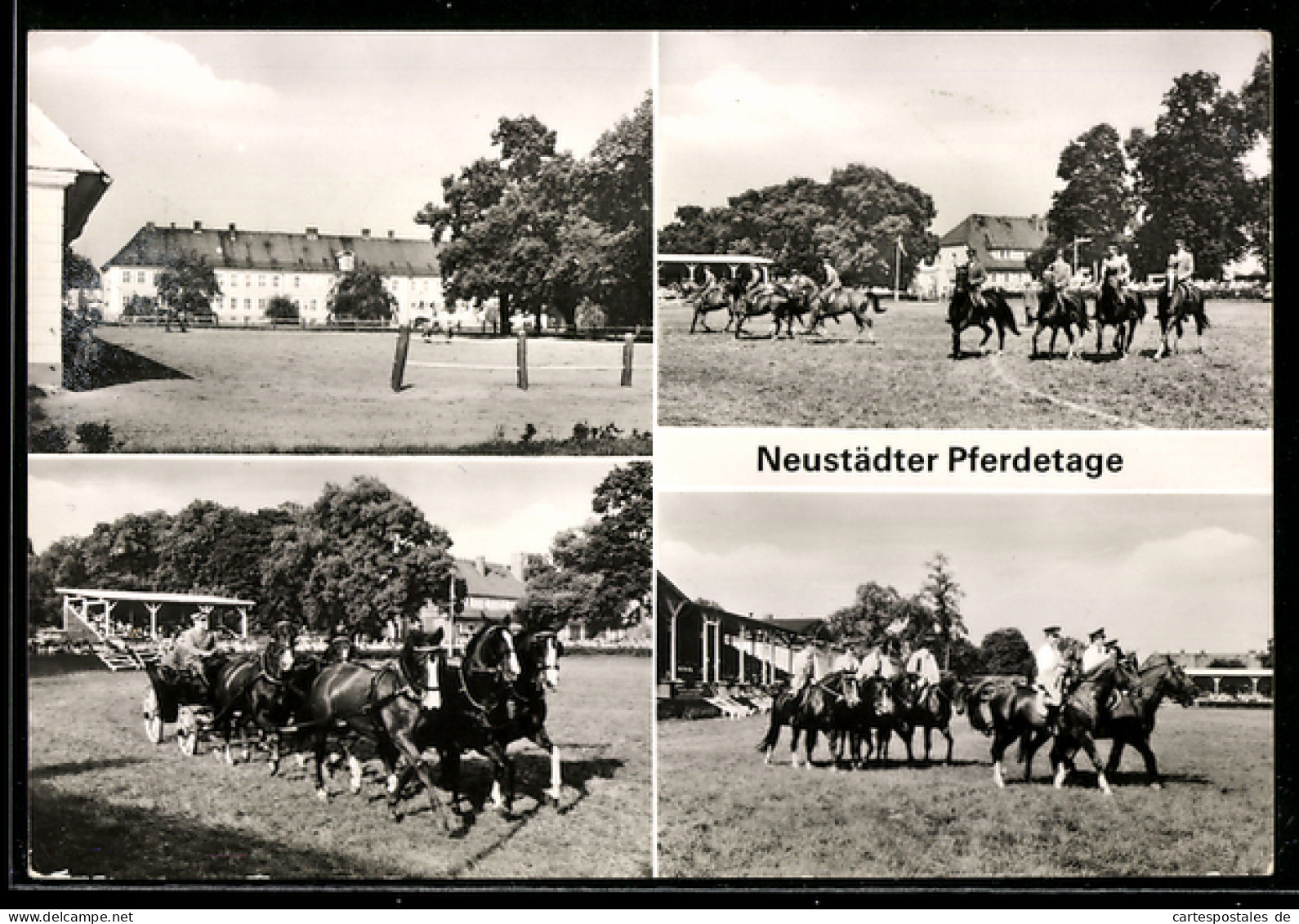 AK Neustadt /Dosse, Pferdetage, Reitvorführungen, Gespanne