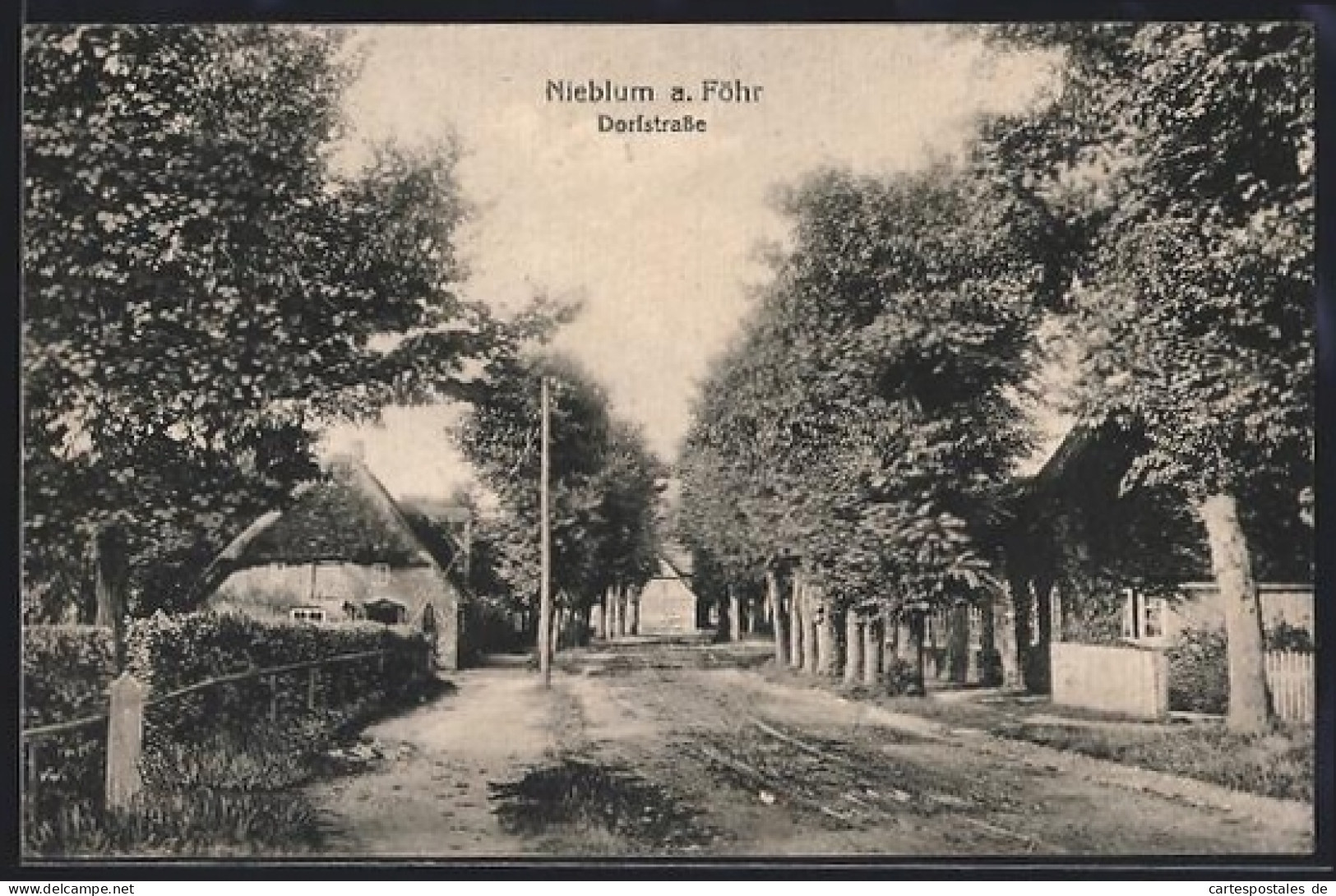 AK Nieblum a. Föhr, In der Dorfstrasse