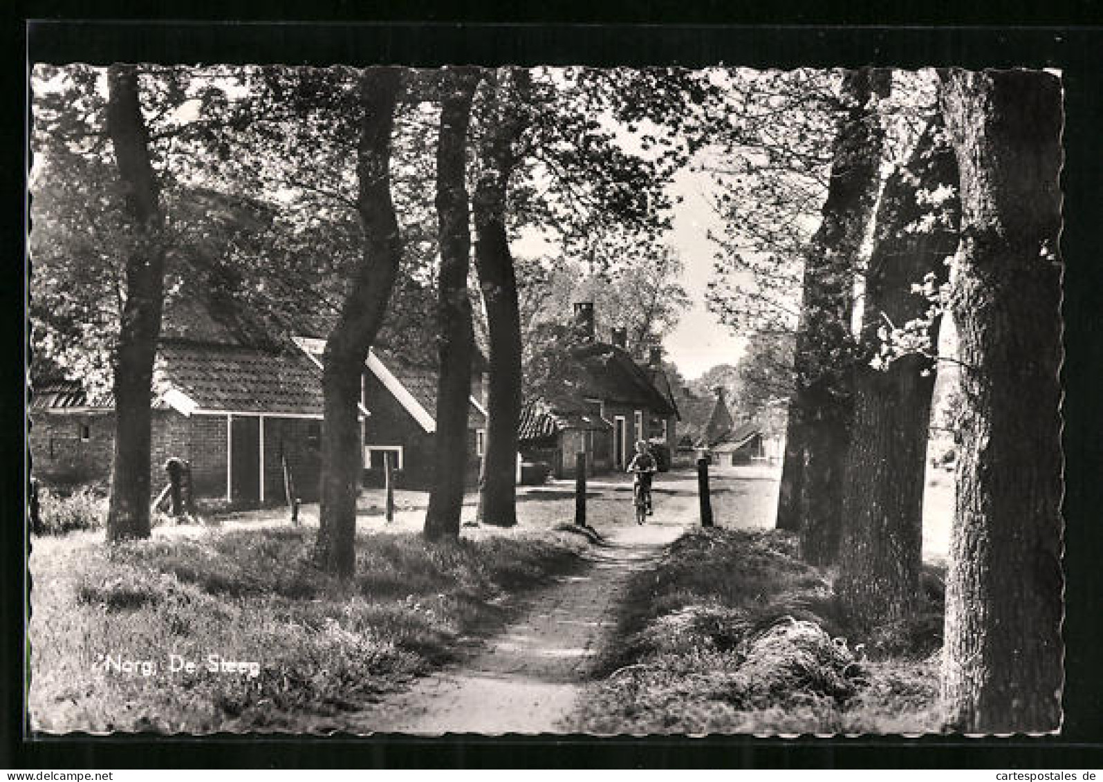 AK Norg De Steeg