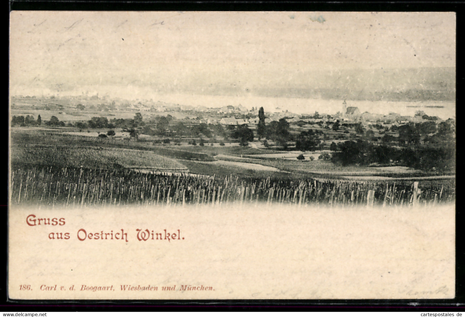 AK Oestrich-Winkel, Ortsansicht aus der Ferne