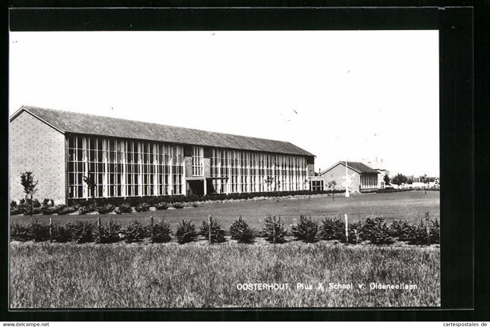 AK Oosterhout, Pius X School v. Oldeneellaan