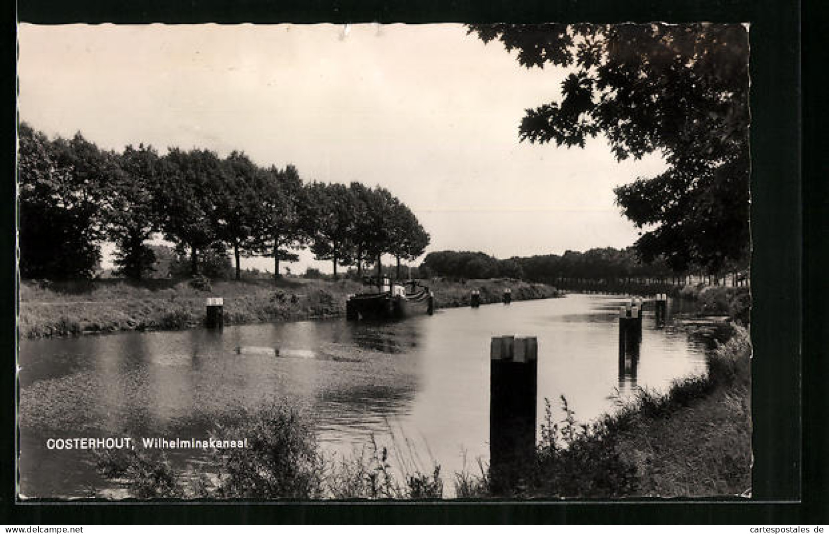 AK Oosterhout, Wilhelminakanaal